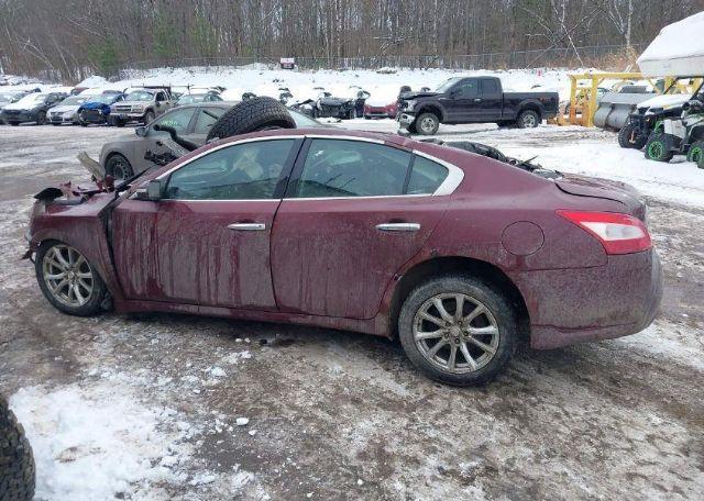 2010 NISSAN MAXIMA 3.5 SV