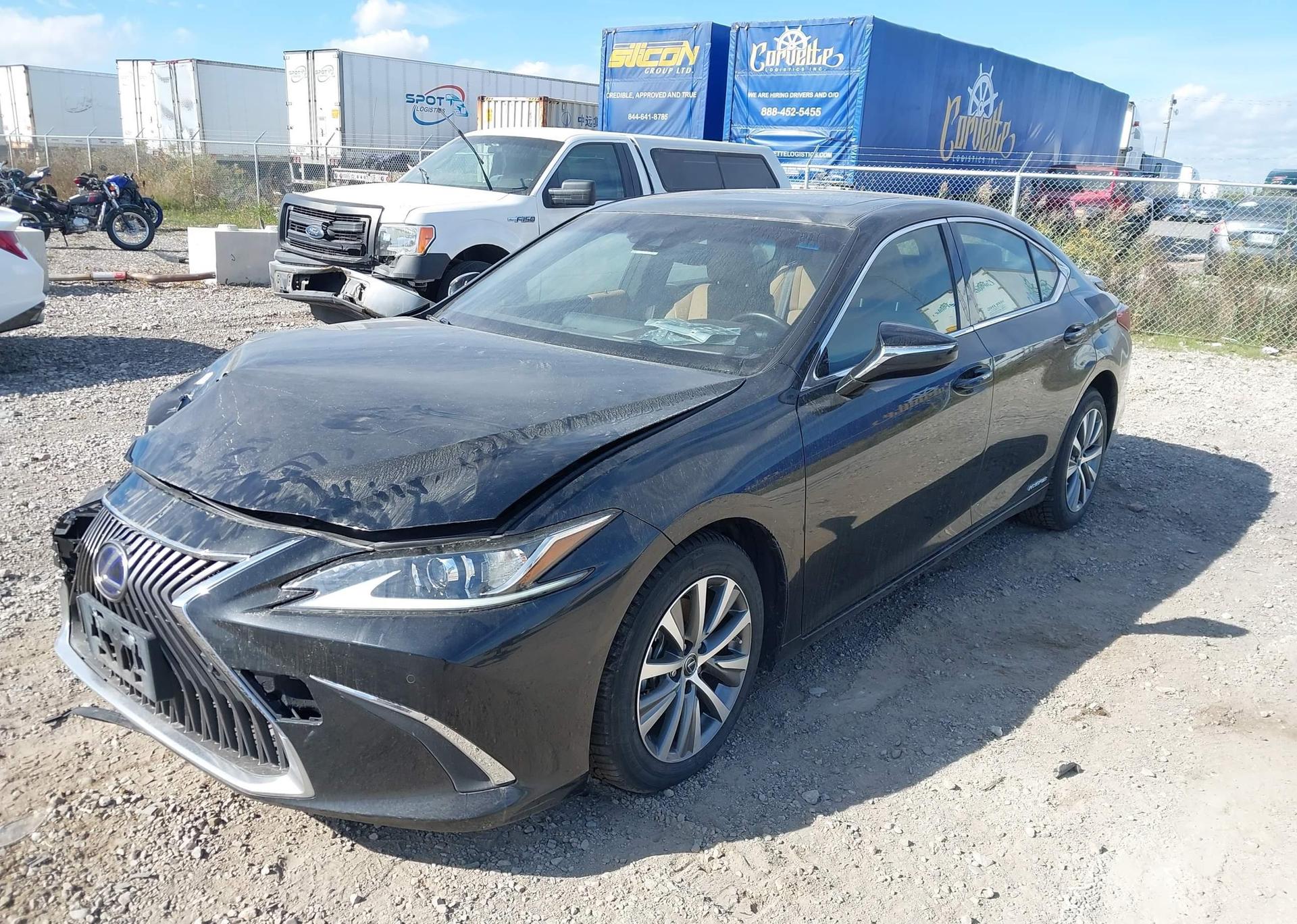 2019 LEXUS ES 300H