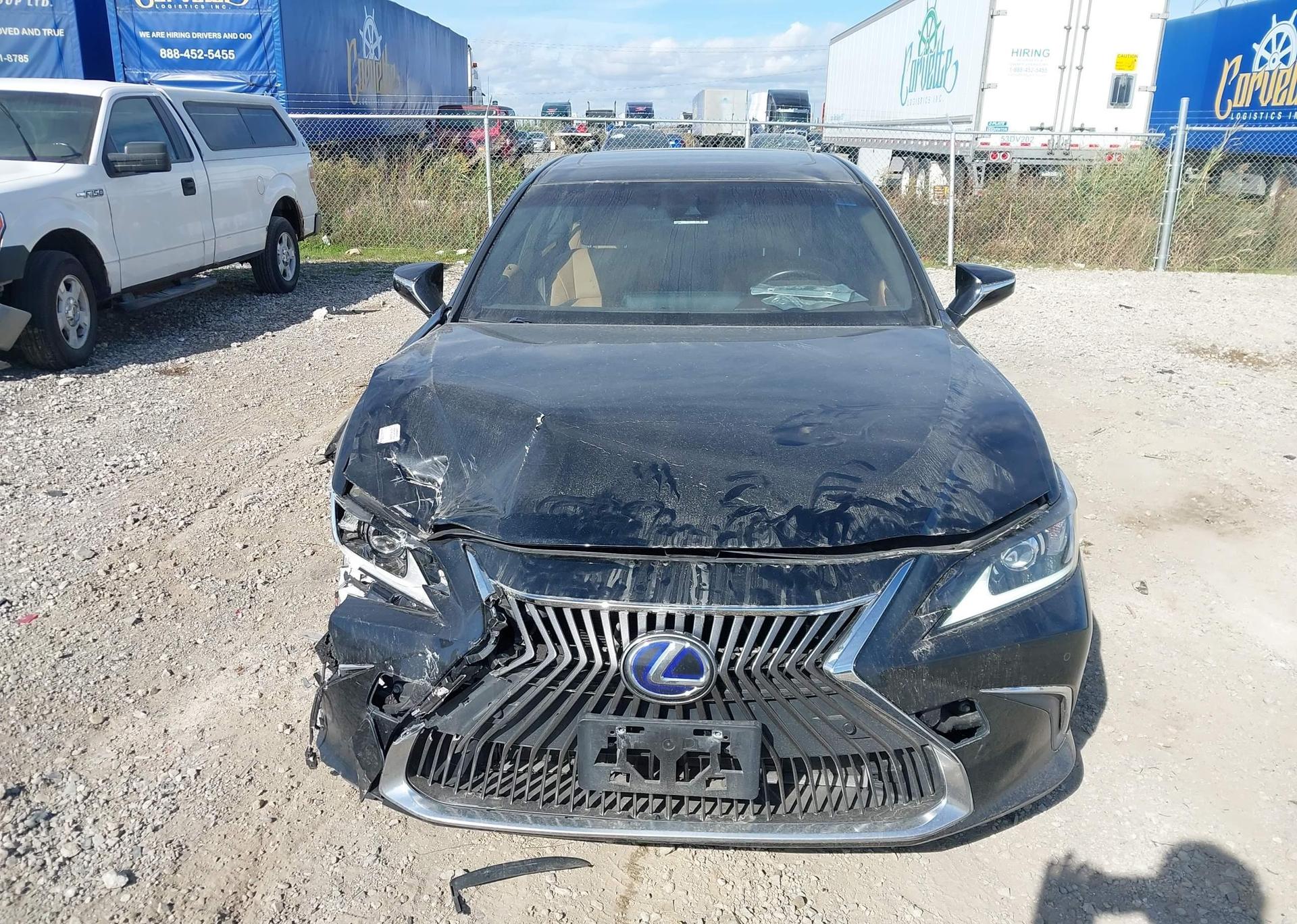 2019 LEXUS ES 300H