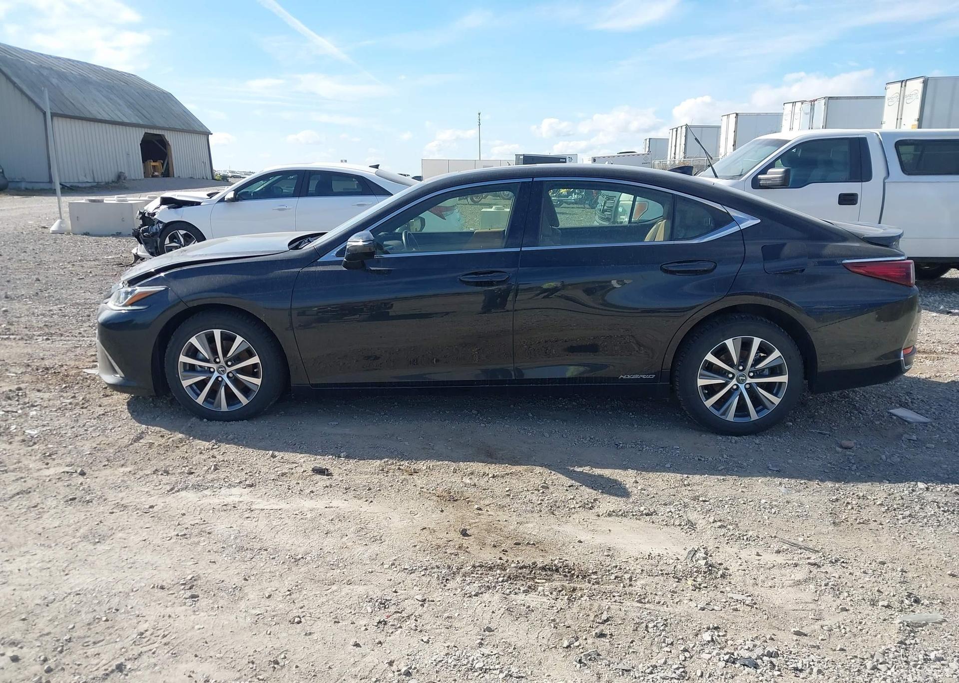 2019 LEXUS ES 300H