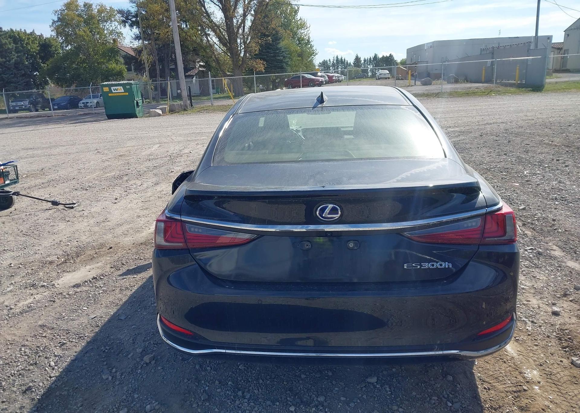 2019 LEXUS ES 300H