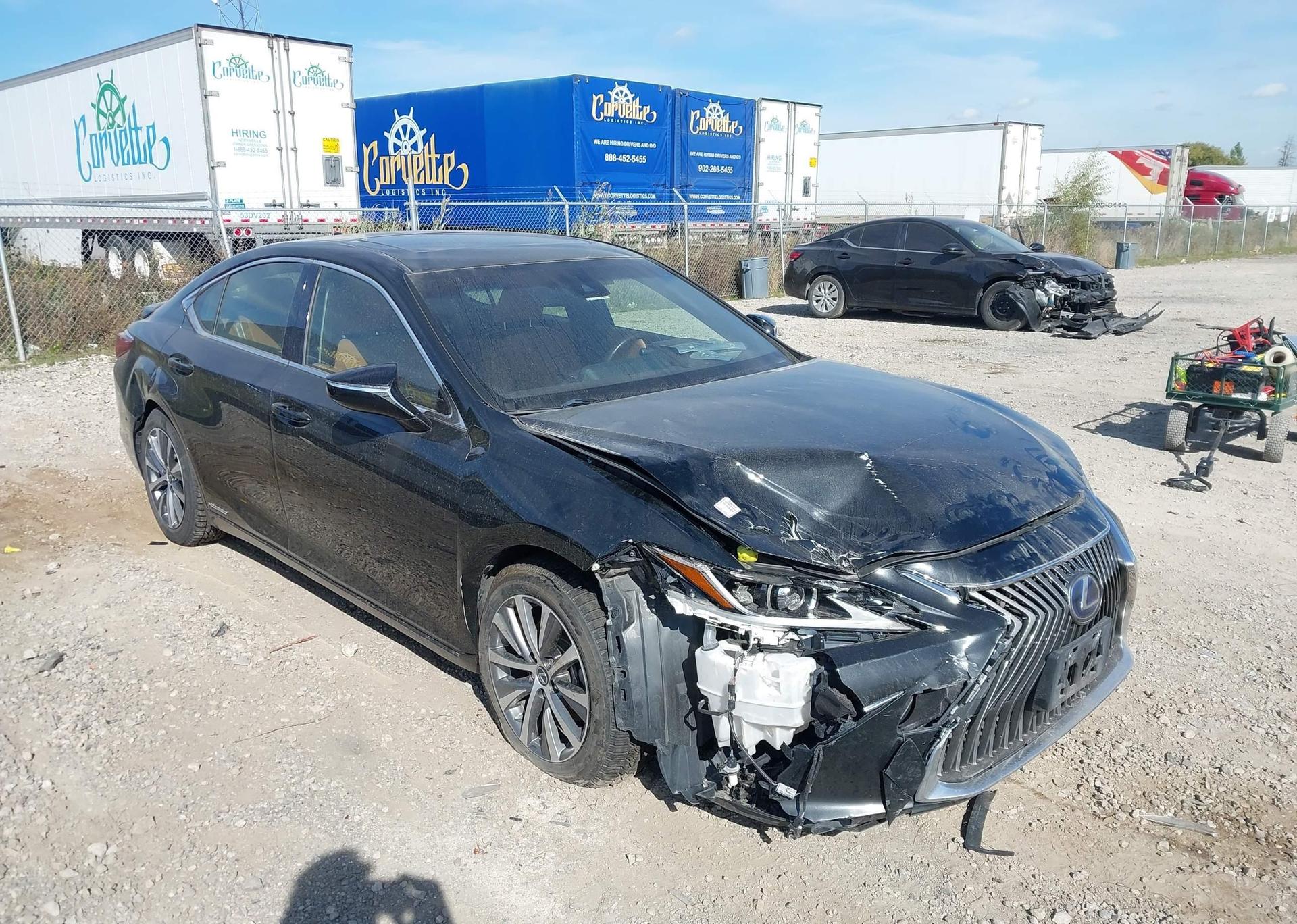 2019 LEXUS ES 300H