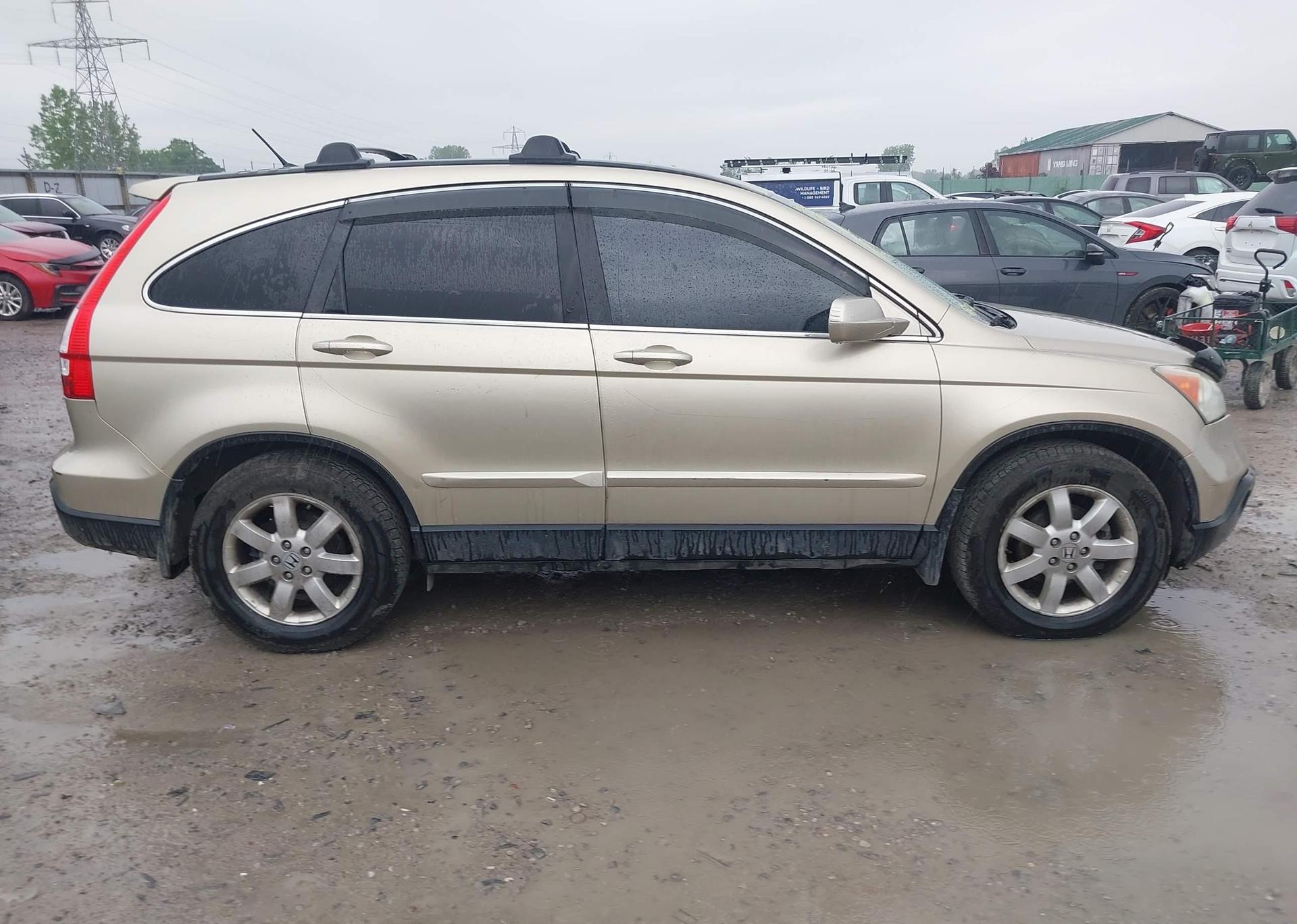2009 HONDA CR-V EXL
