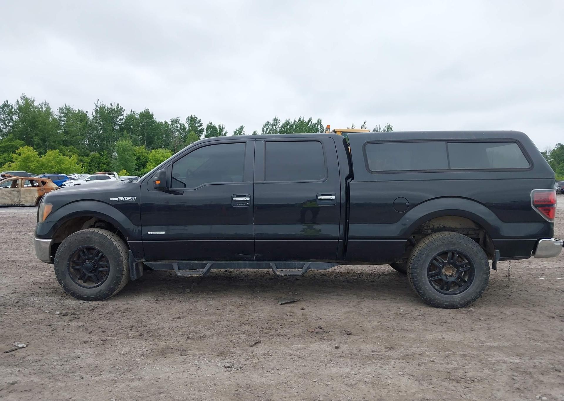 2013 FORD F-150 XLT