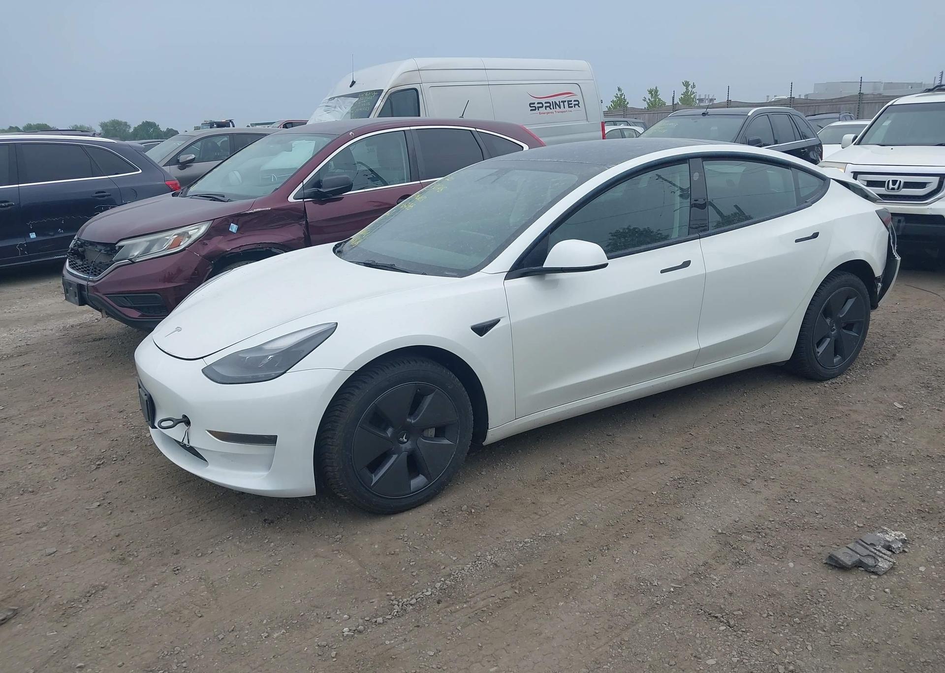 2023 TESLA MODEL 3 RWD