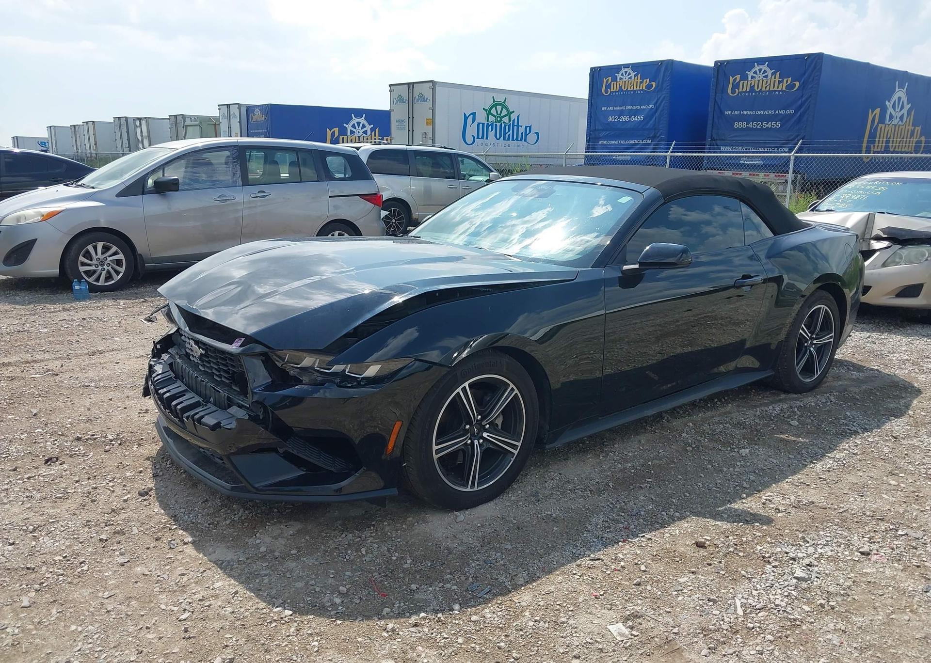 2024 FORD Mustang Convertible