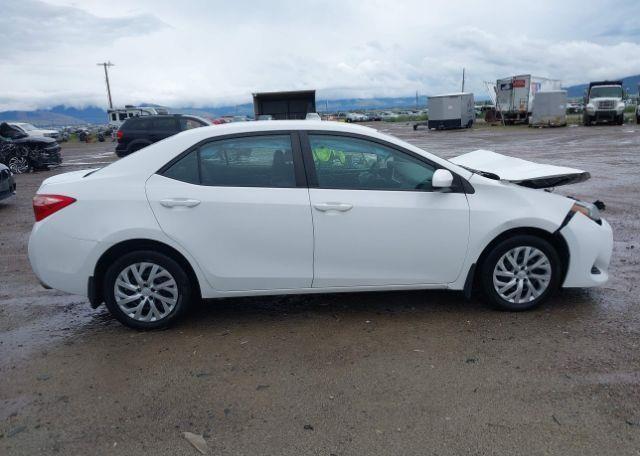 2019 TOYOTA COROLLA LE