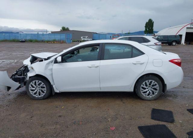 2019 TOYOTA COROLLA LE