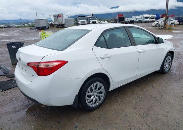 2019 TOYOTA COROLLA LE