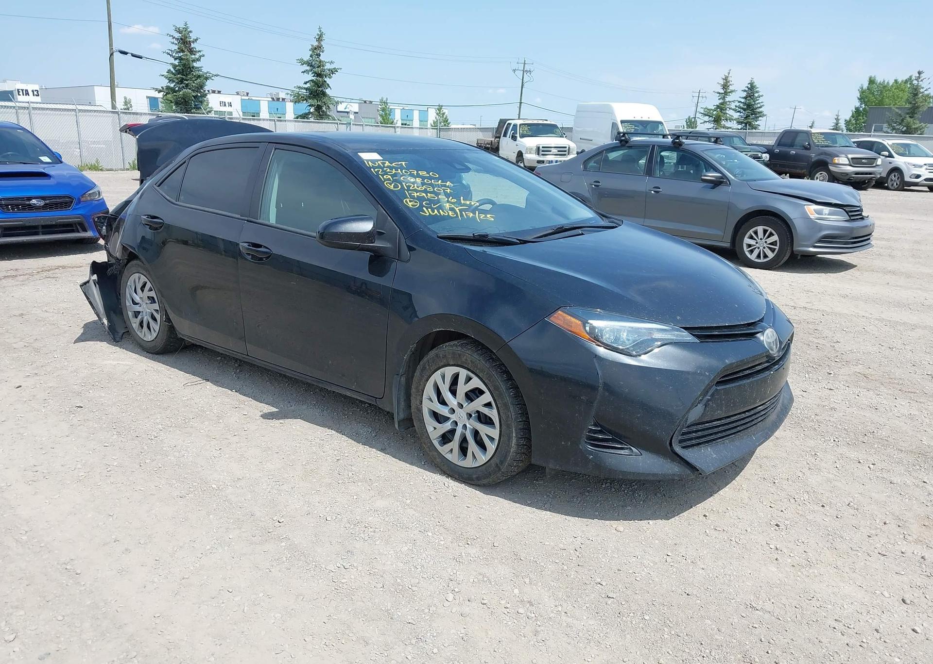 2019 TOYOTA COROLLA L