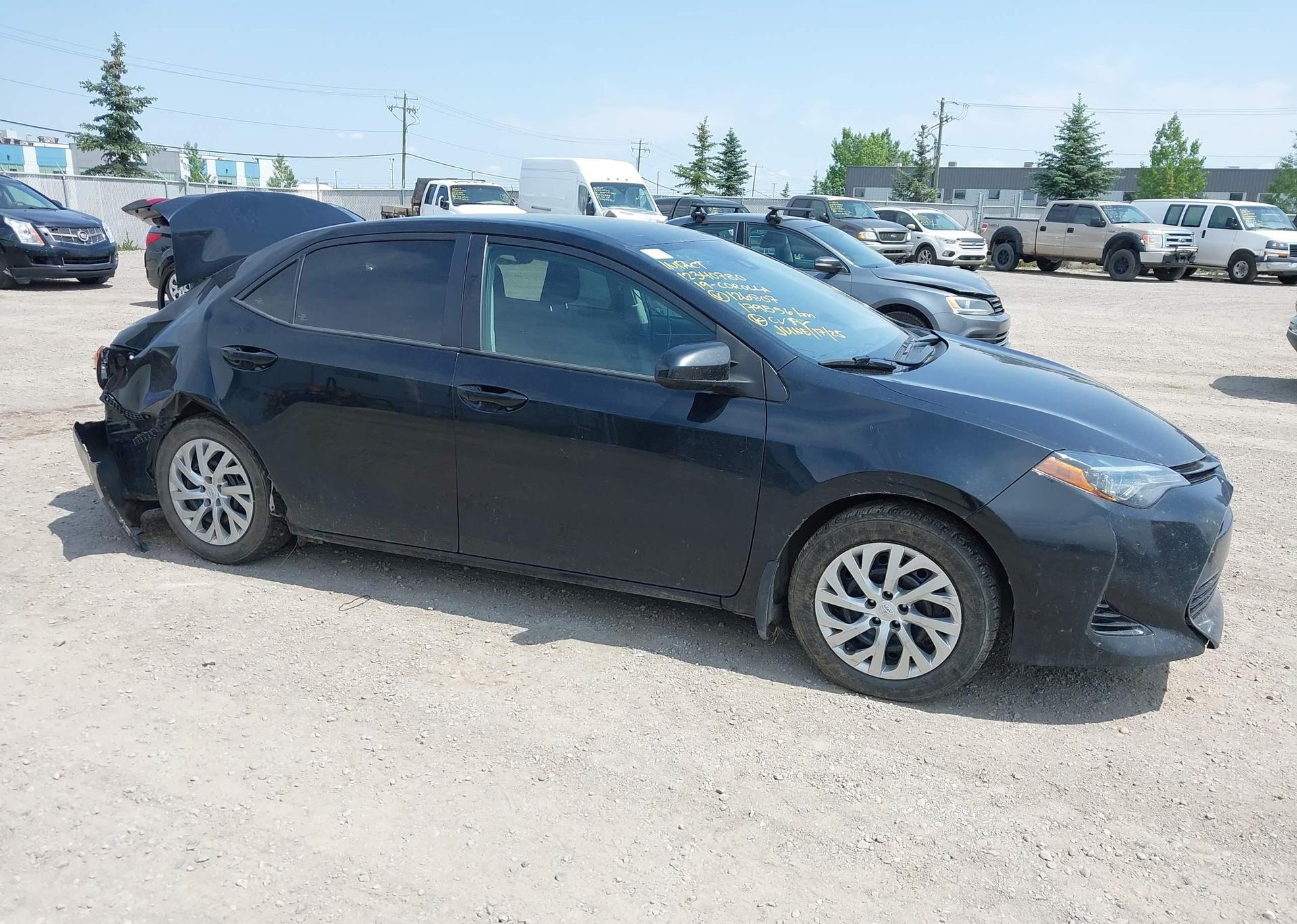 2019 TOYOTA COROLLA L