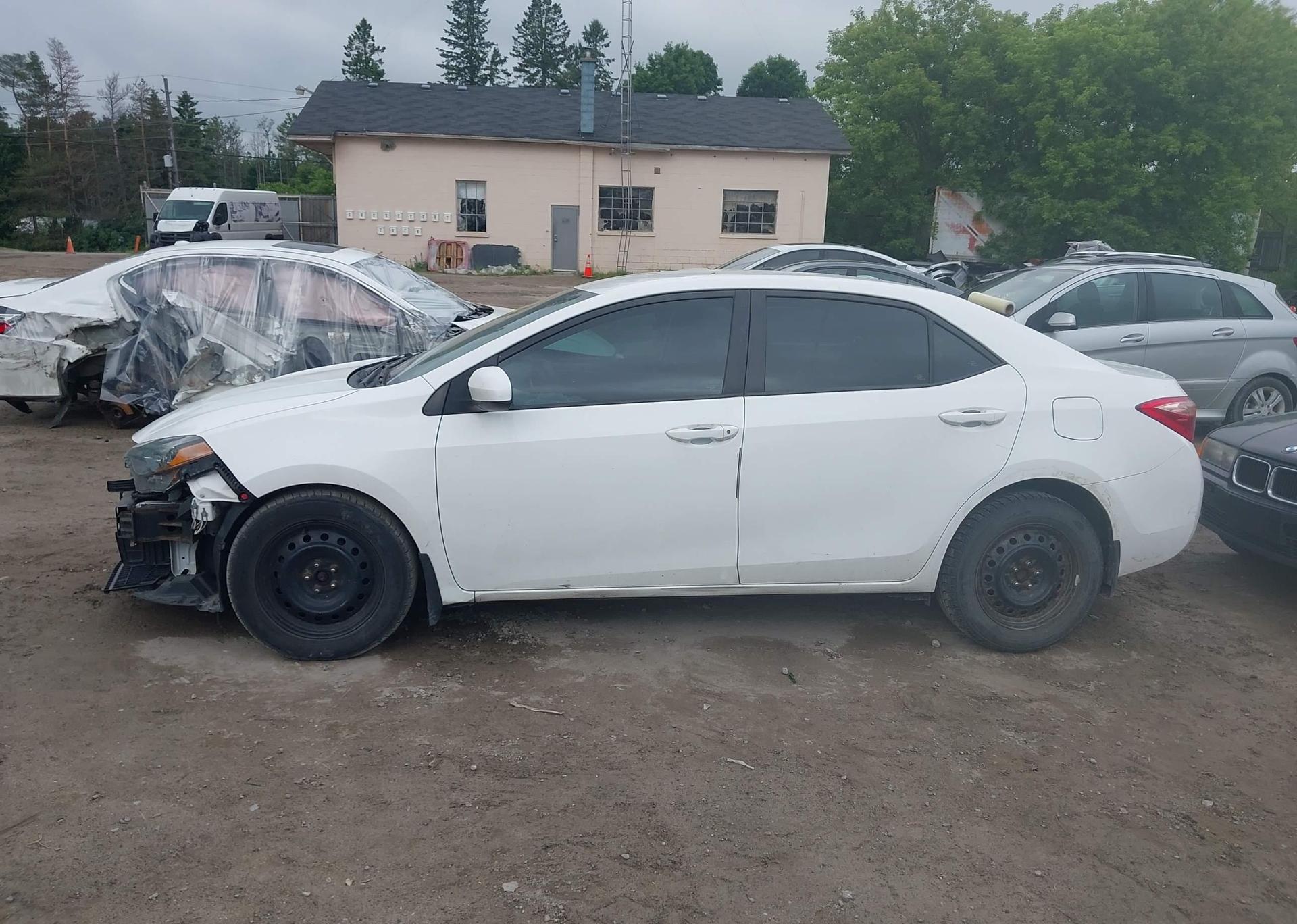 2019 TOYOTA COROLLA LE