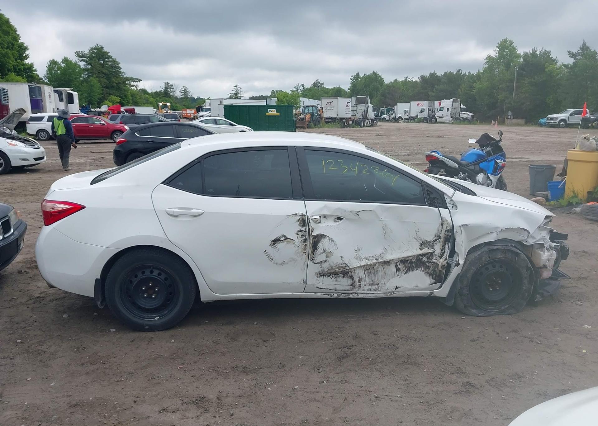 2019 TOYOTA COROLLA LE