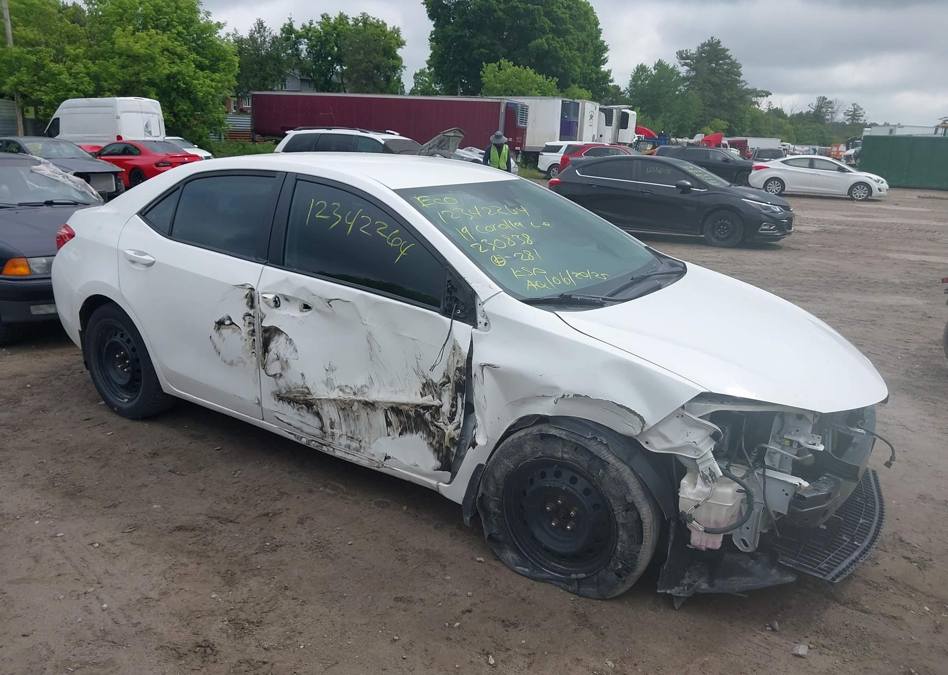 2019 TOYOTA COROLLA LE