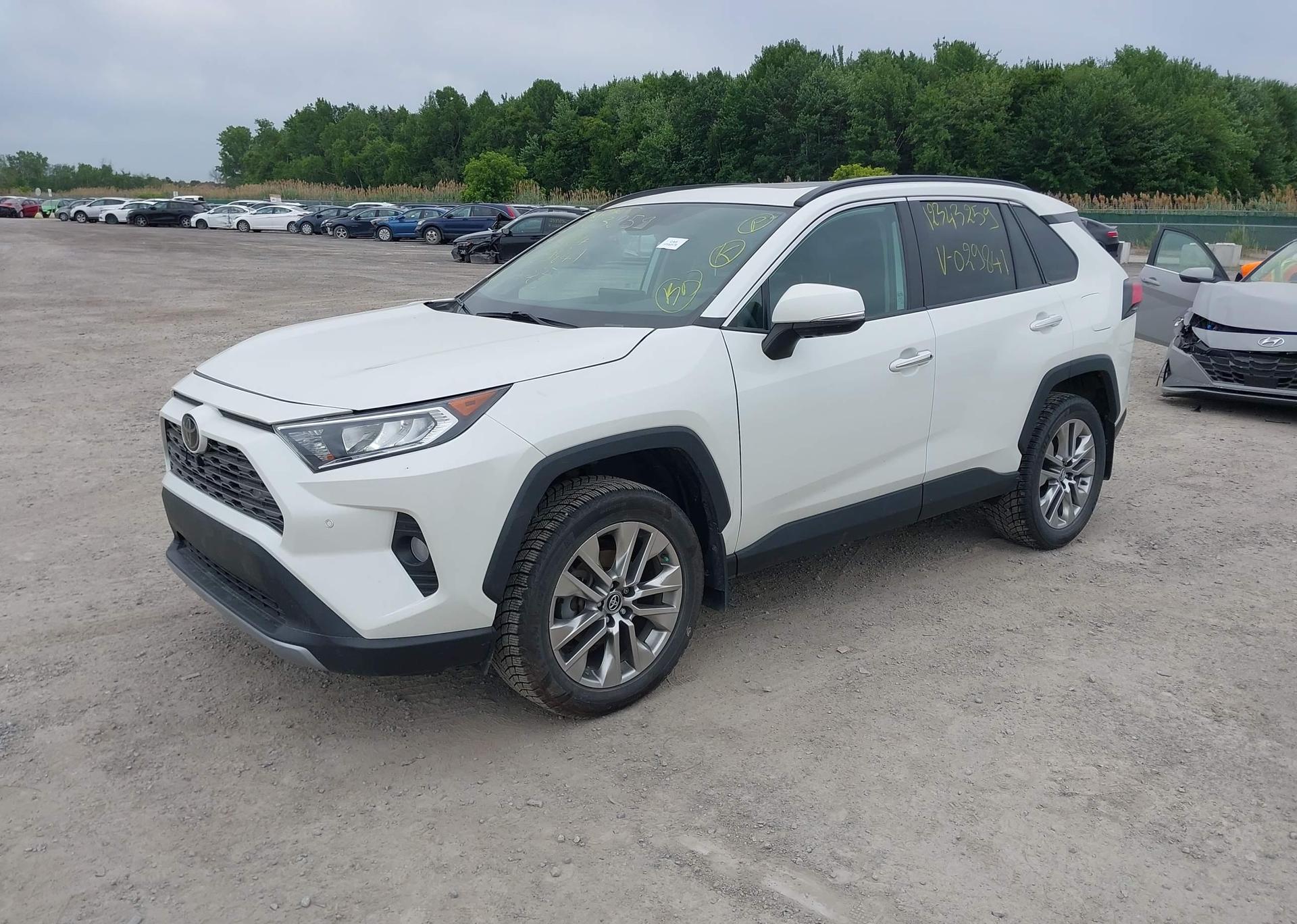2019 TOYOTA RAV4