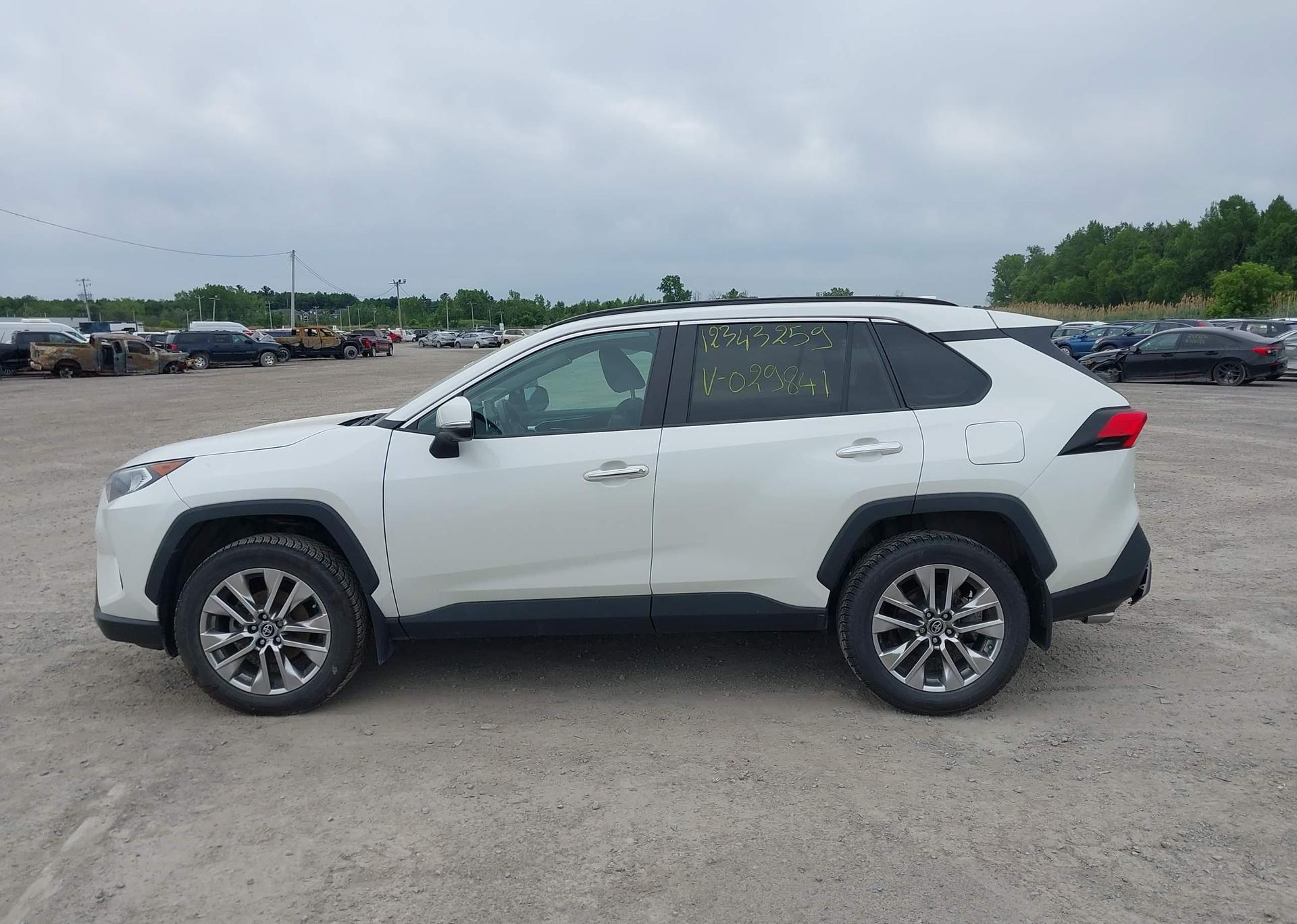 2019 TOYOTA RAV4