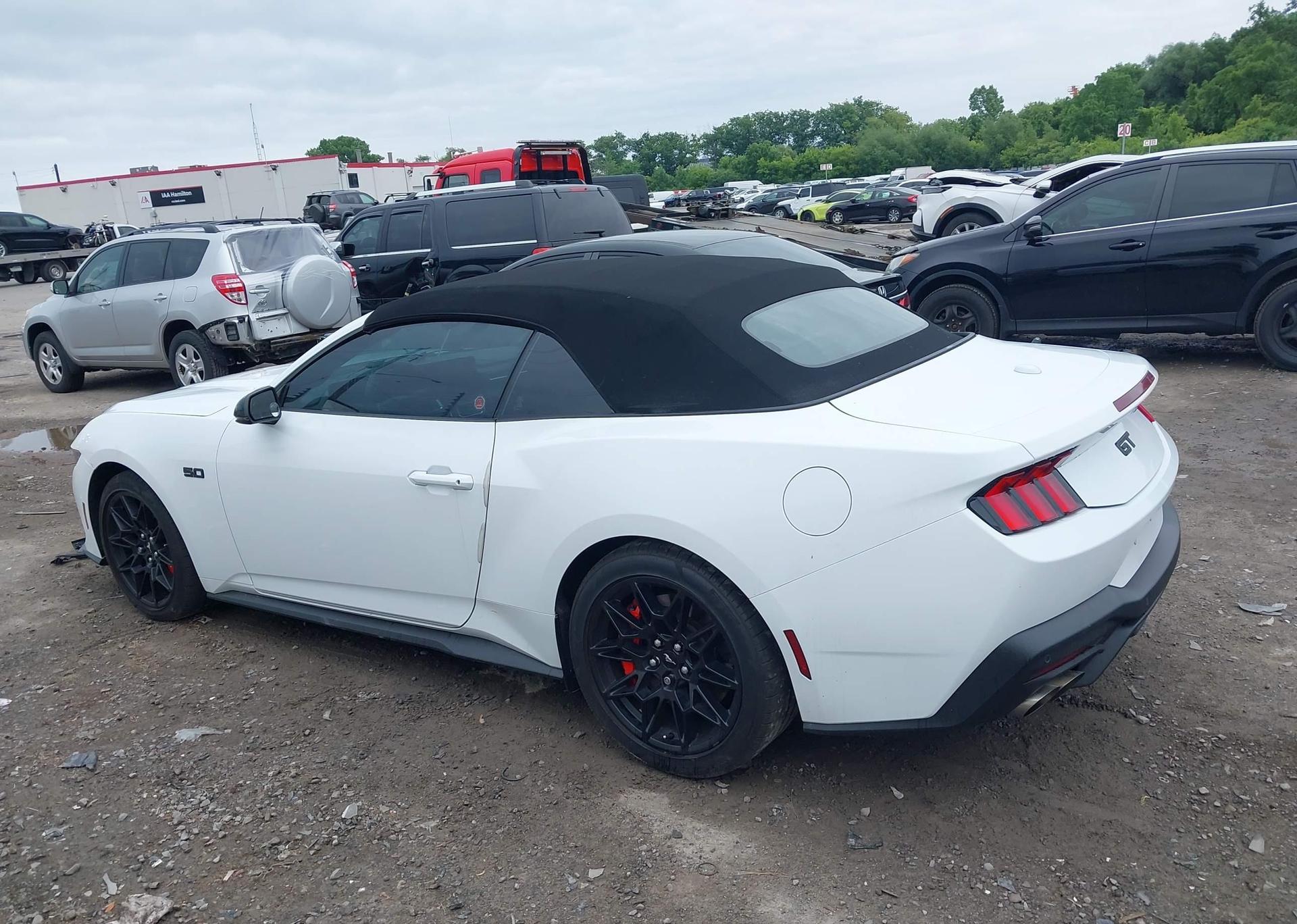 2024 FORD MUSTANG