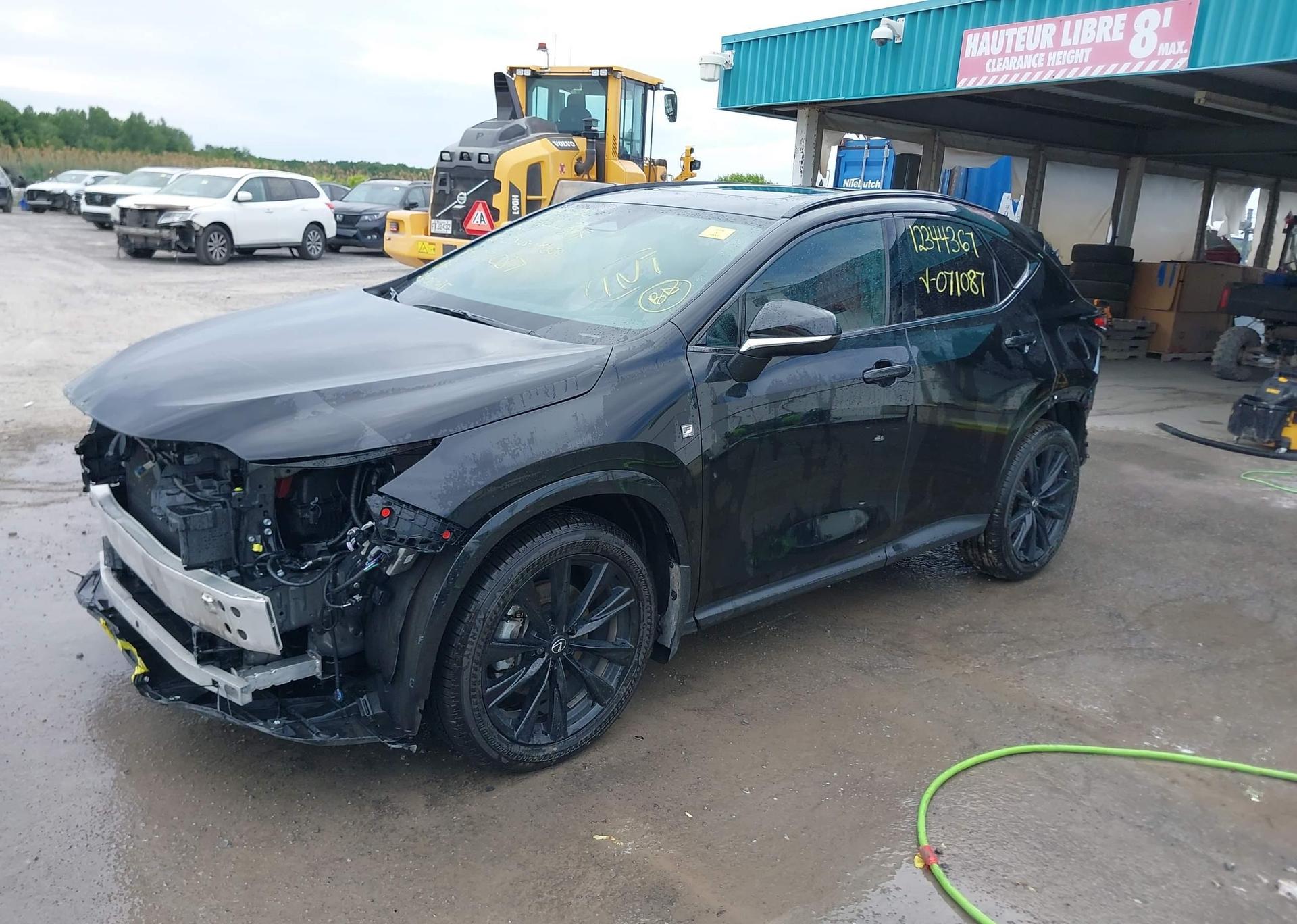 2025 LEXUS NX 350 LUXURY