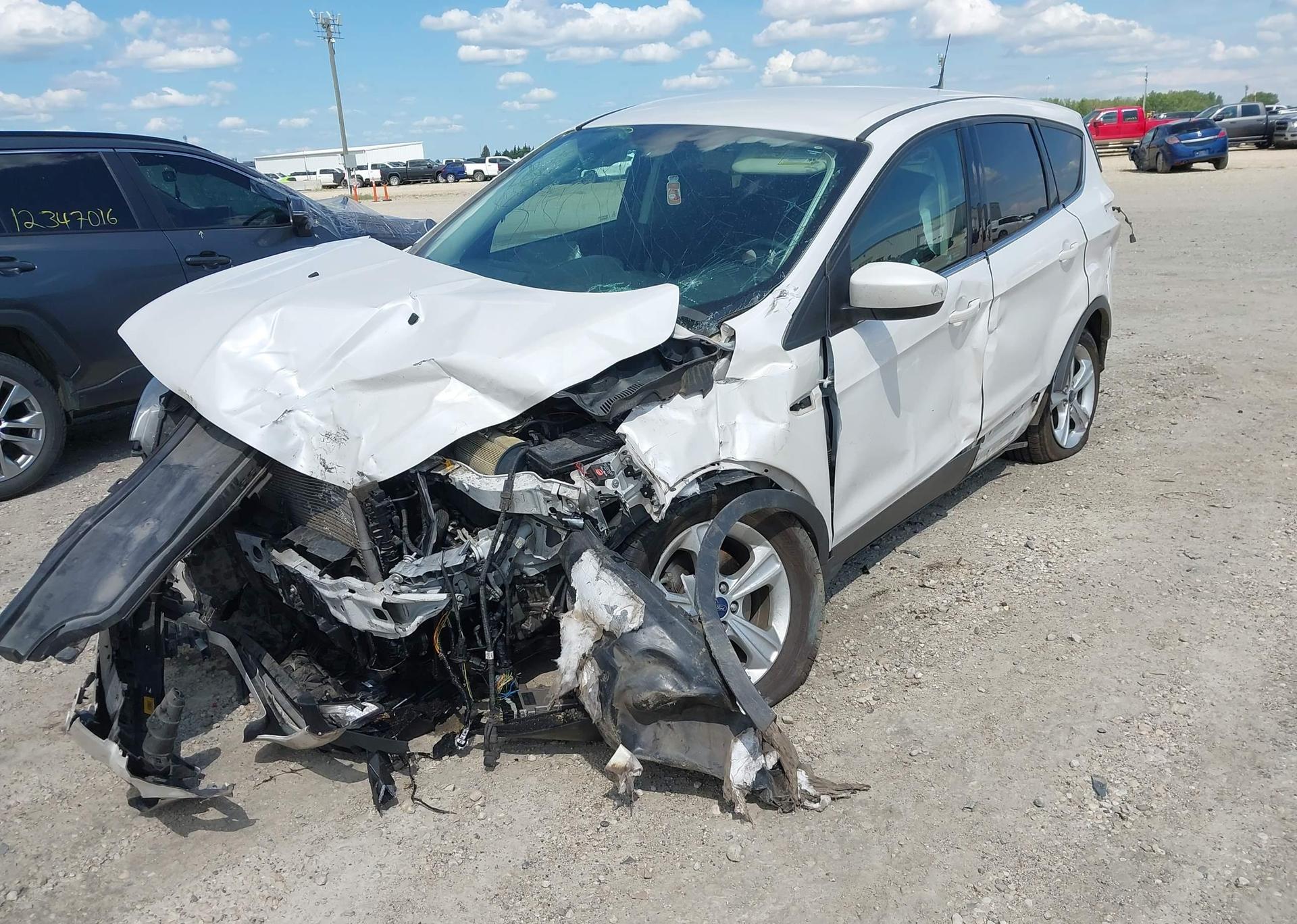 2014 FORD ESCAPE SE