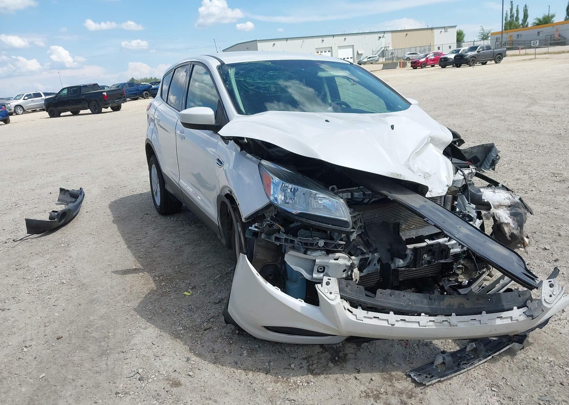 2014 FORD ESCAPE SE