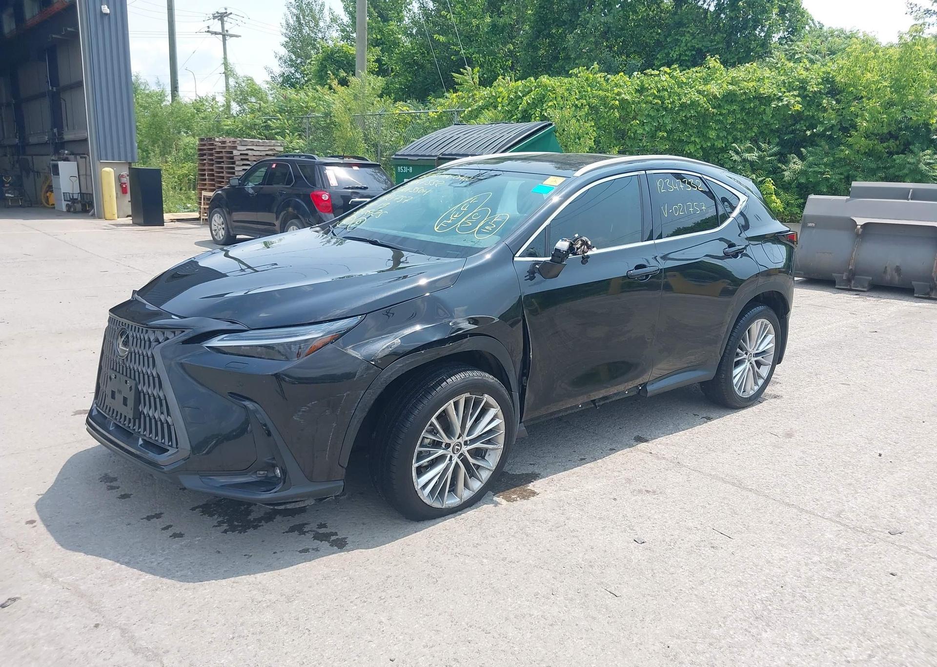 2024 LEXUS NX 350H
