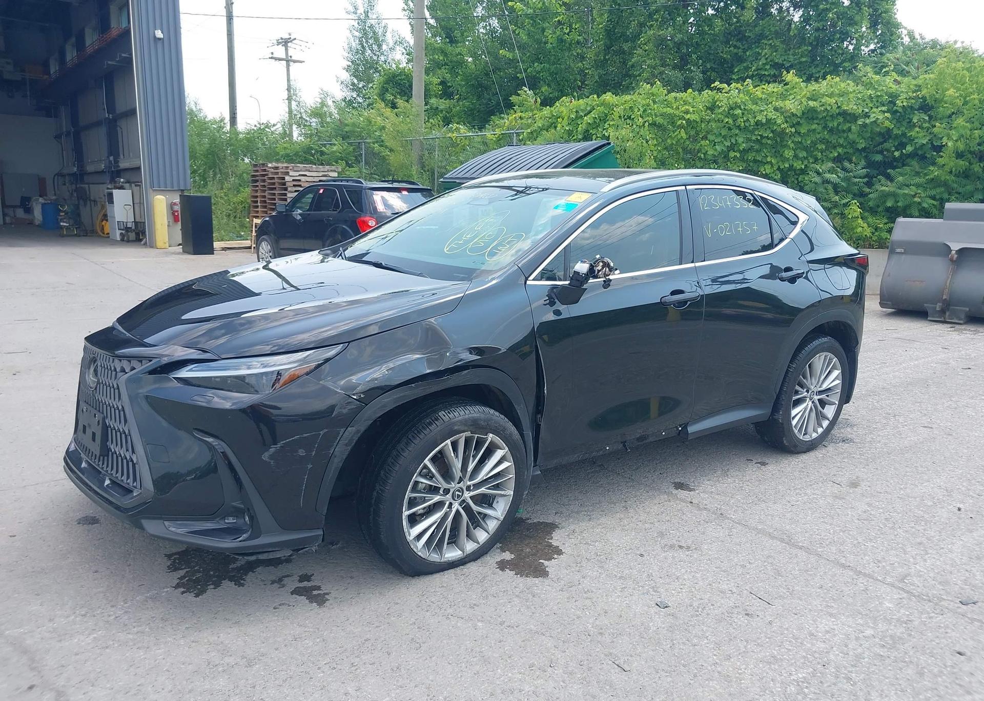 2024 LEXUS NX 350H