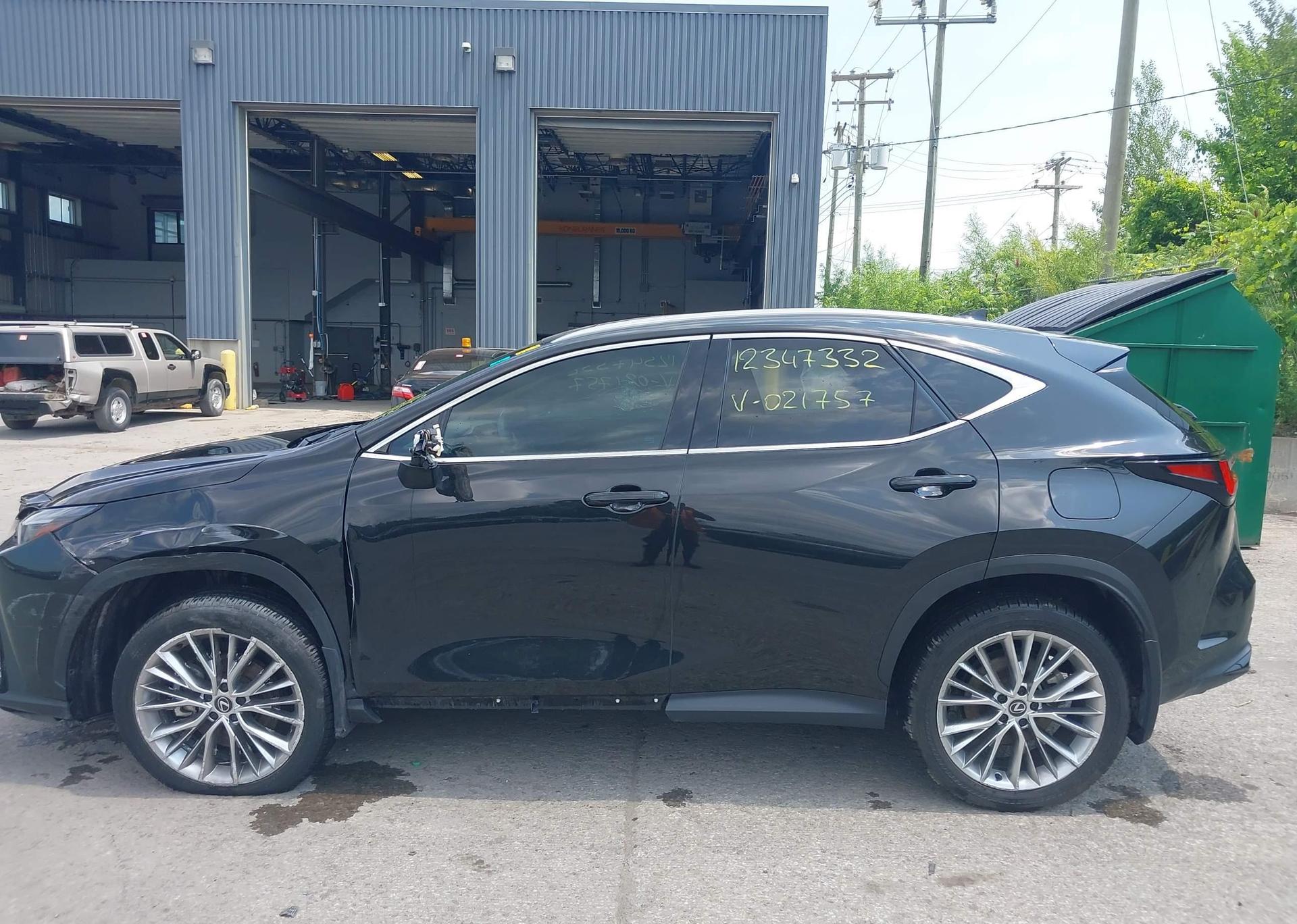 2024 LEXUS NX 350H