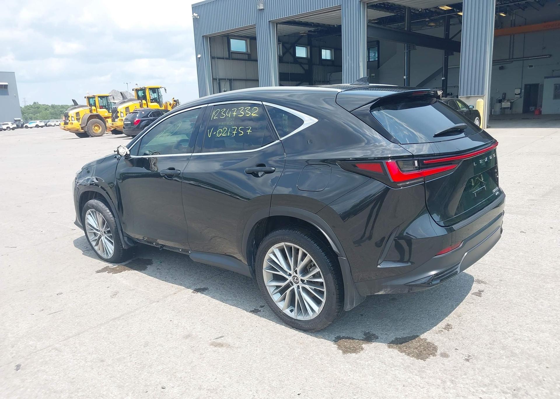 2024 LEXUS NX 350H