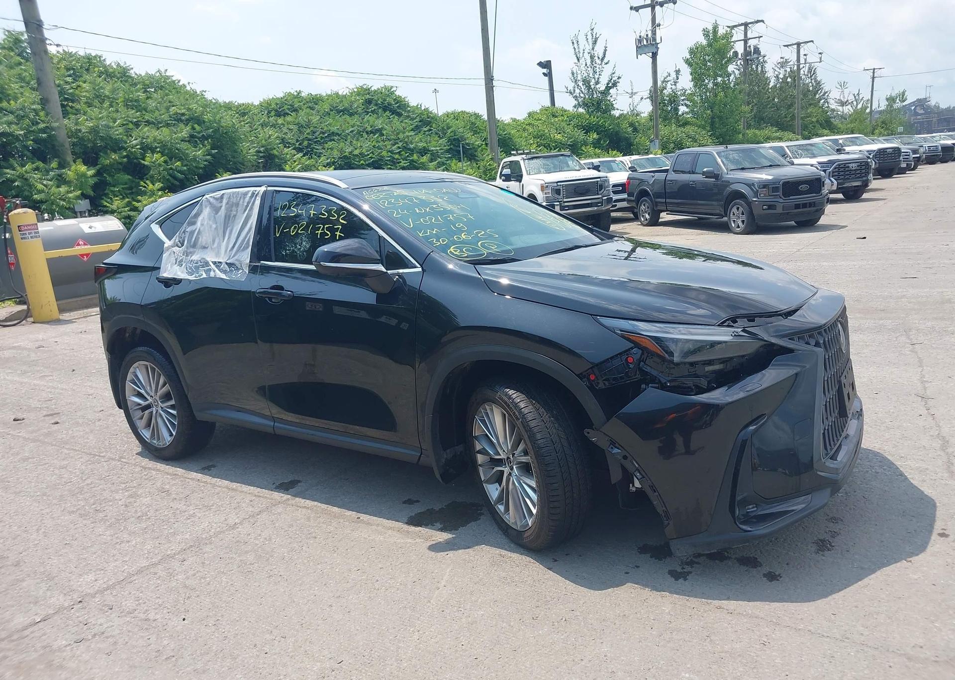 2024 LEXUS NX 350H