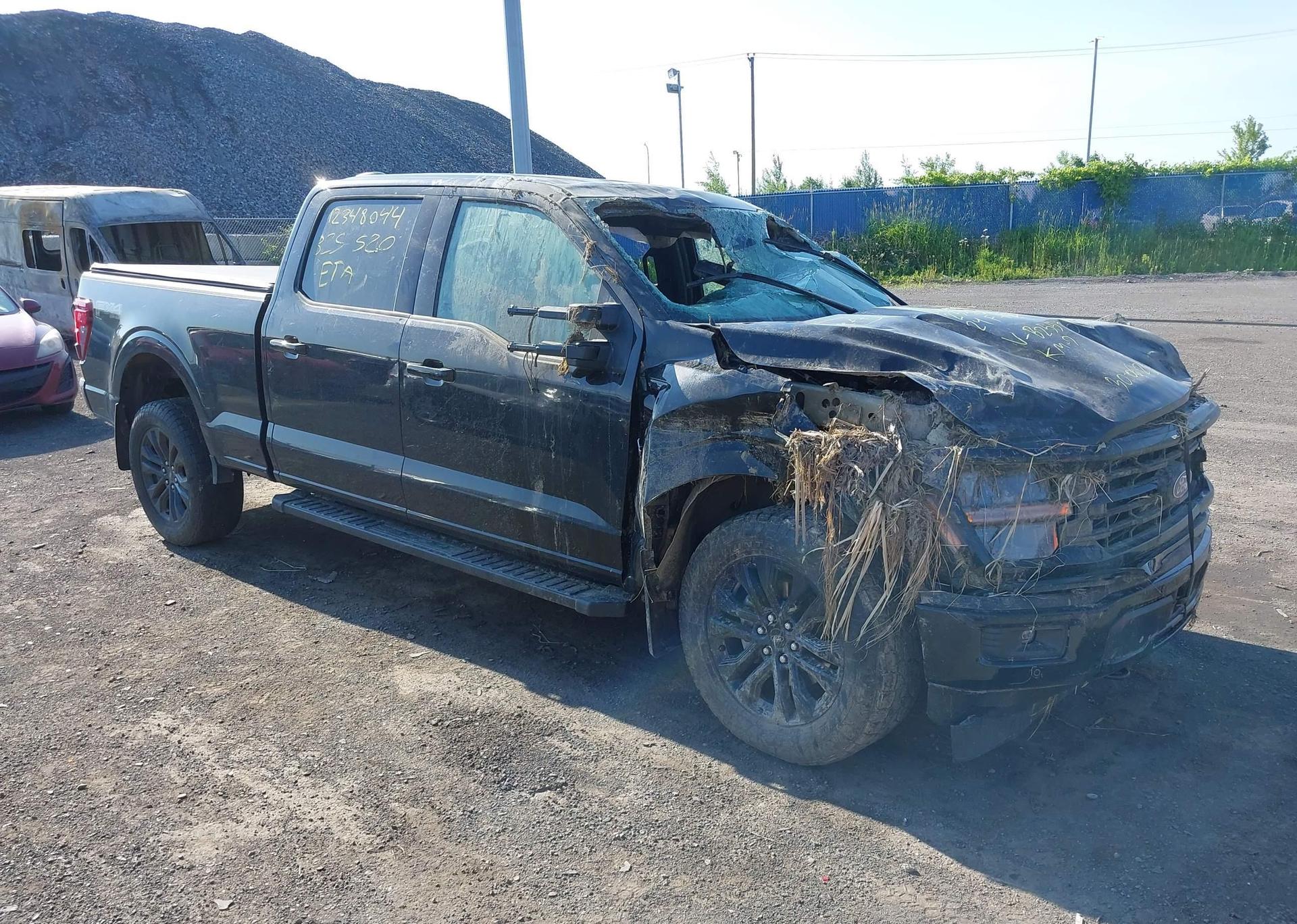 2024 FORD F-150 XLT