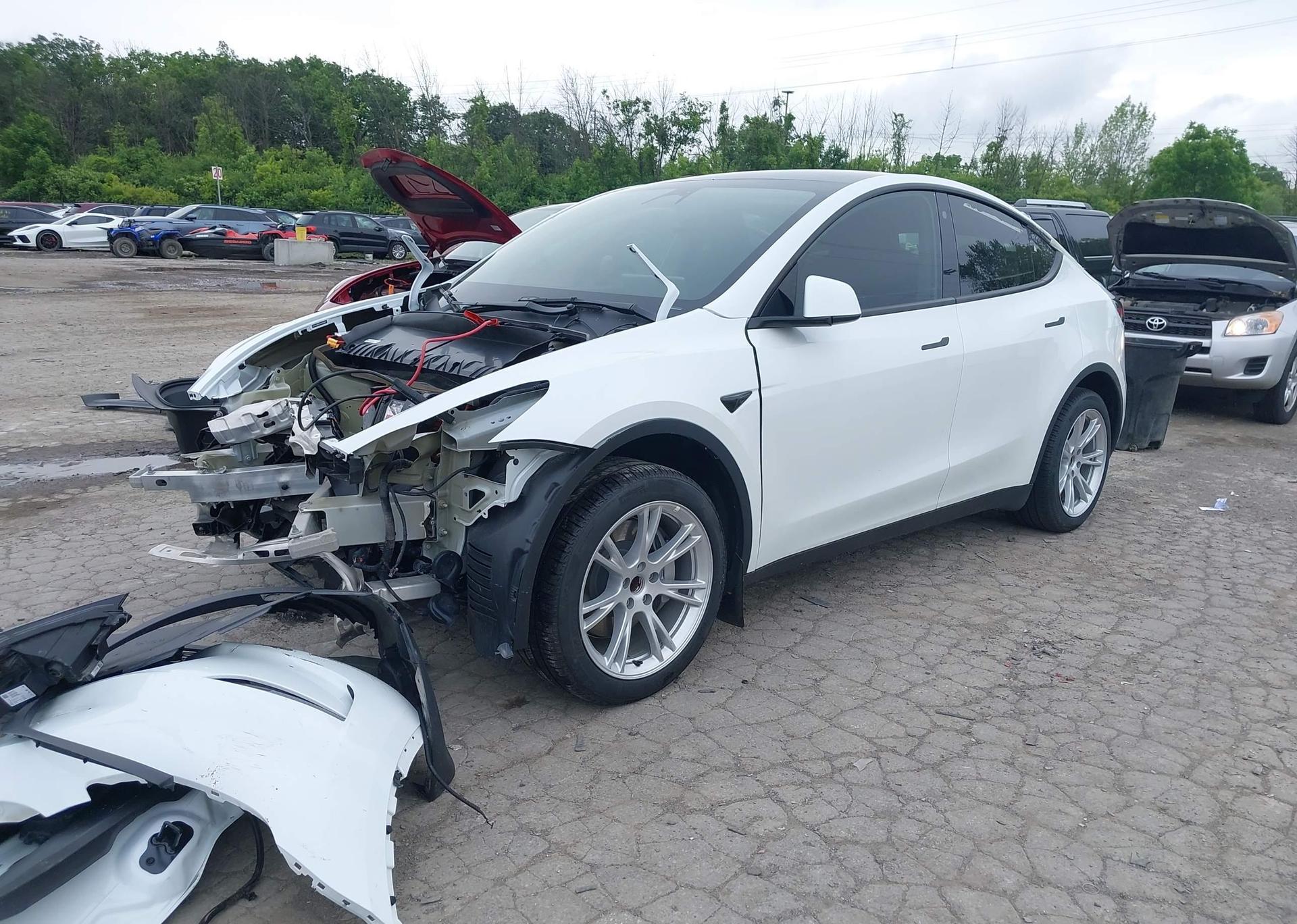 2023 TESLA MODEL Y RWD