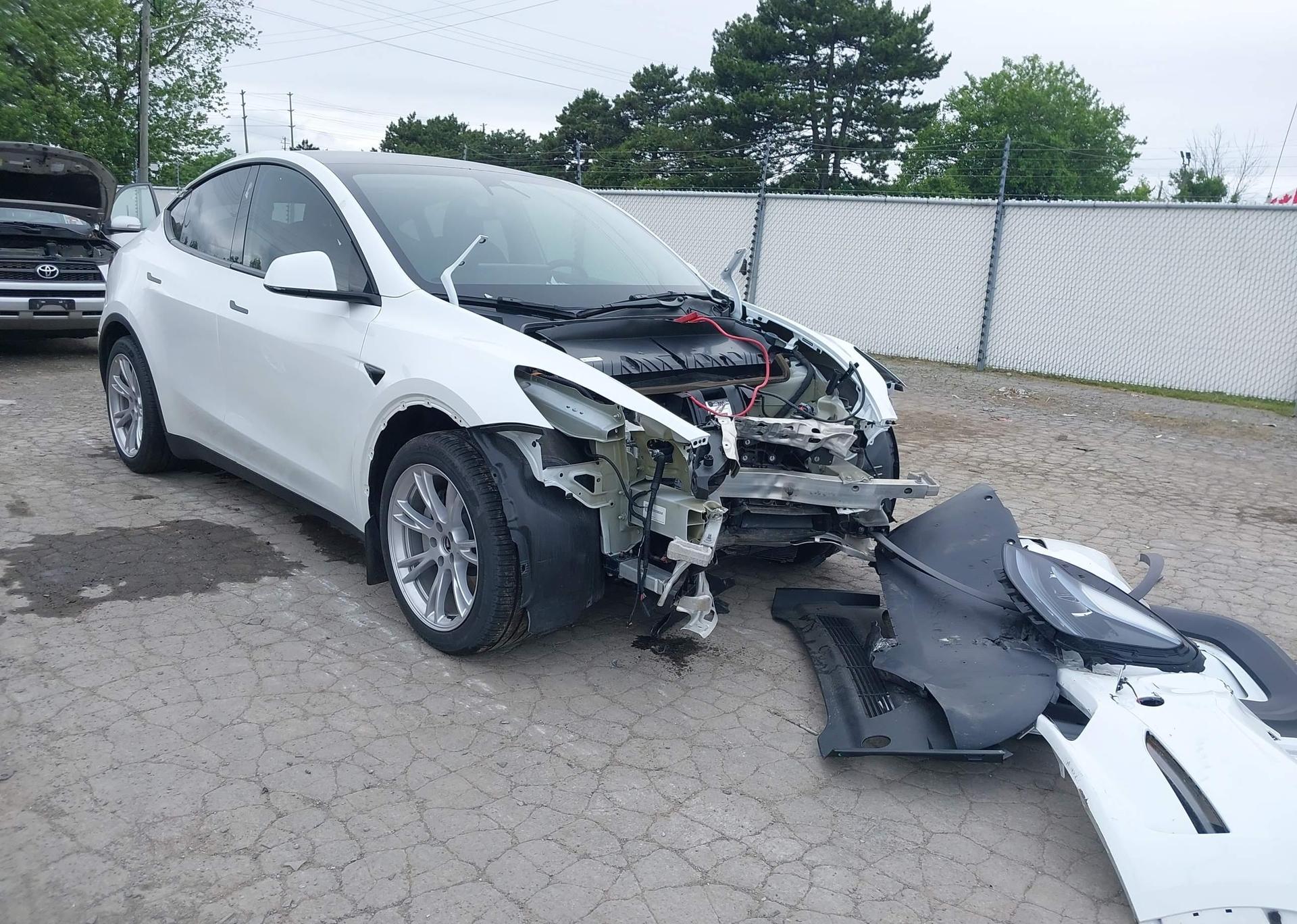2023 TESLA MODEL Y RWD