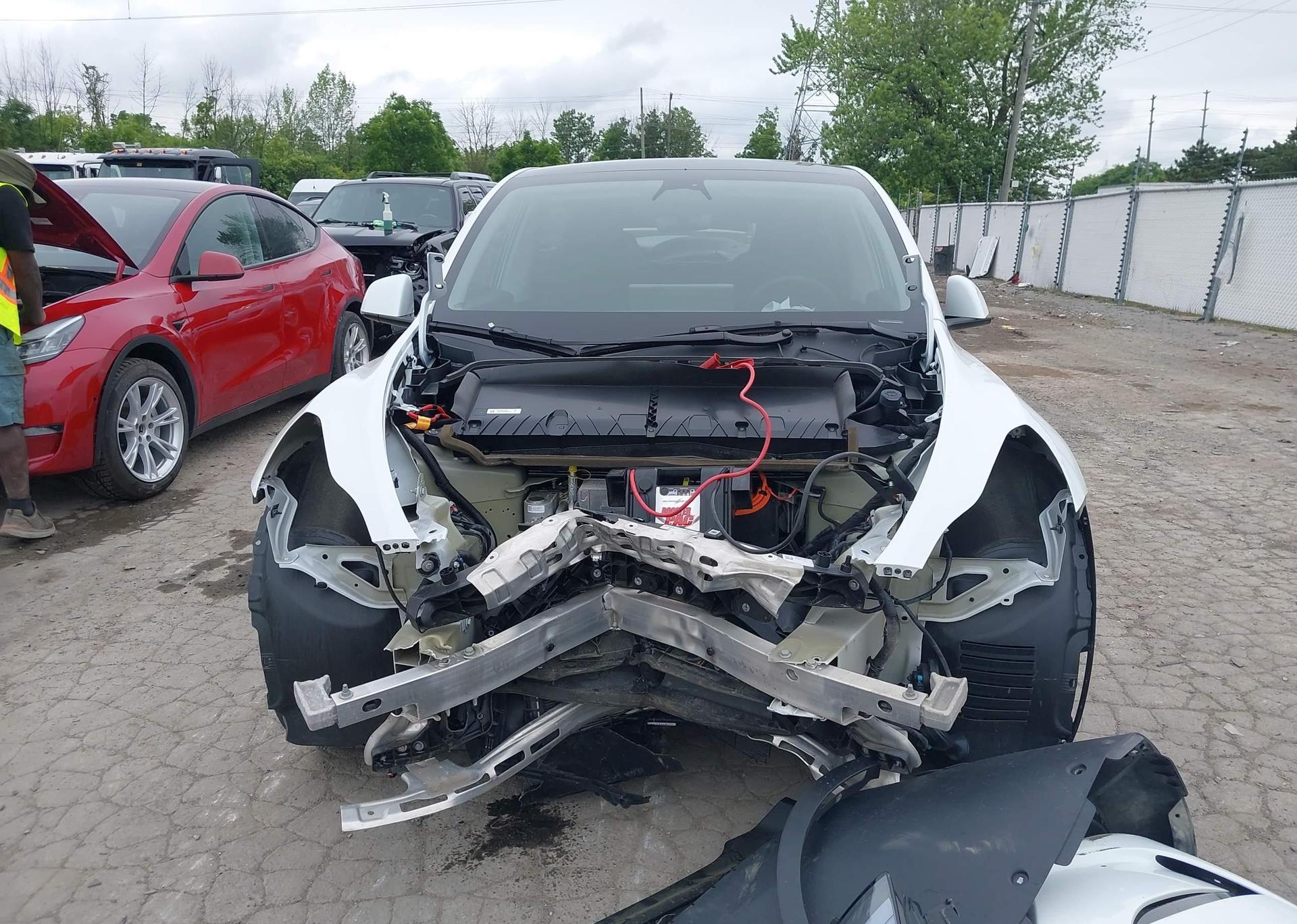 2023 TESLA MODEL Y RWD