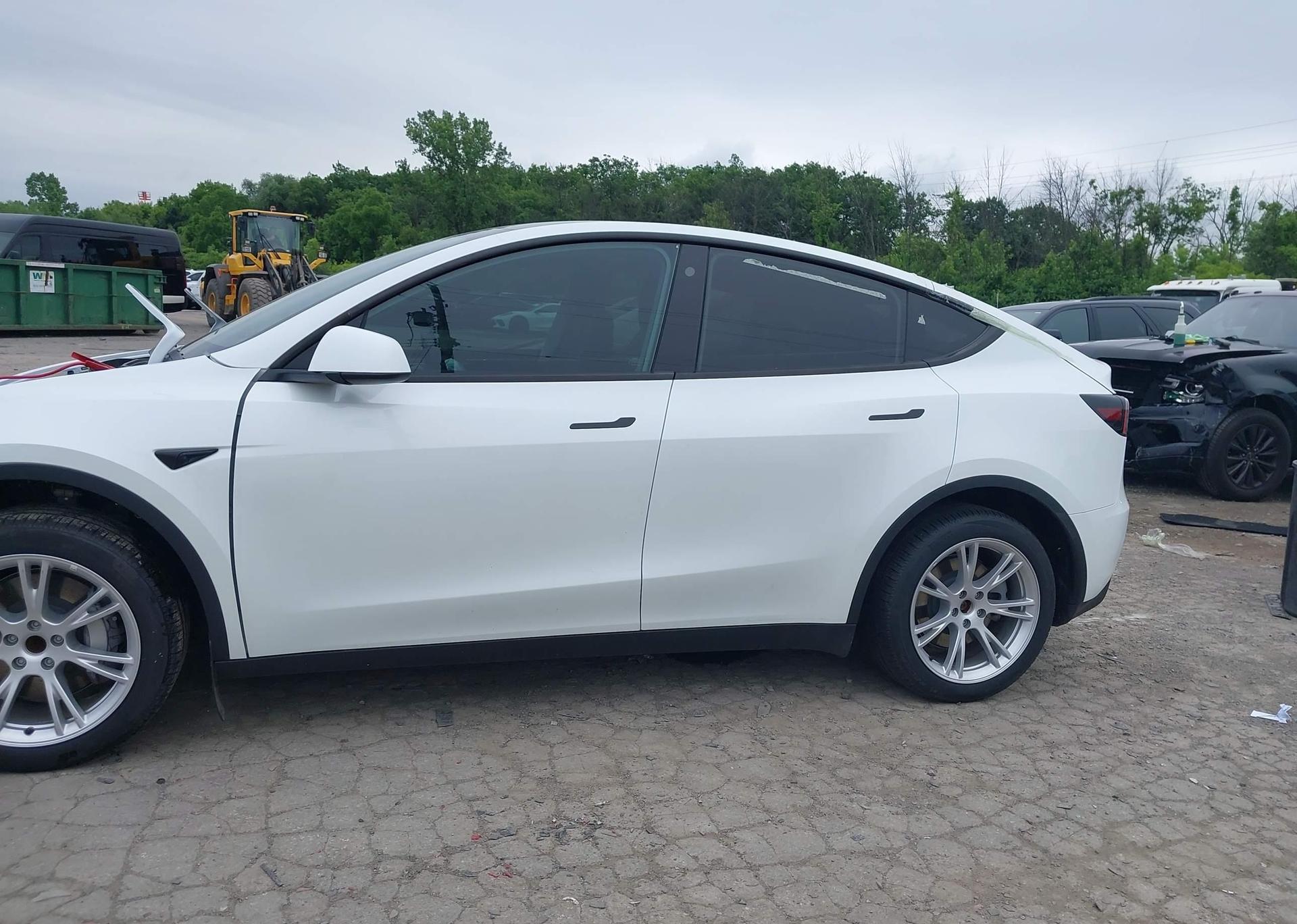 2023 TESLA MODEL Y RWD