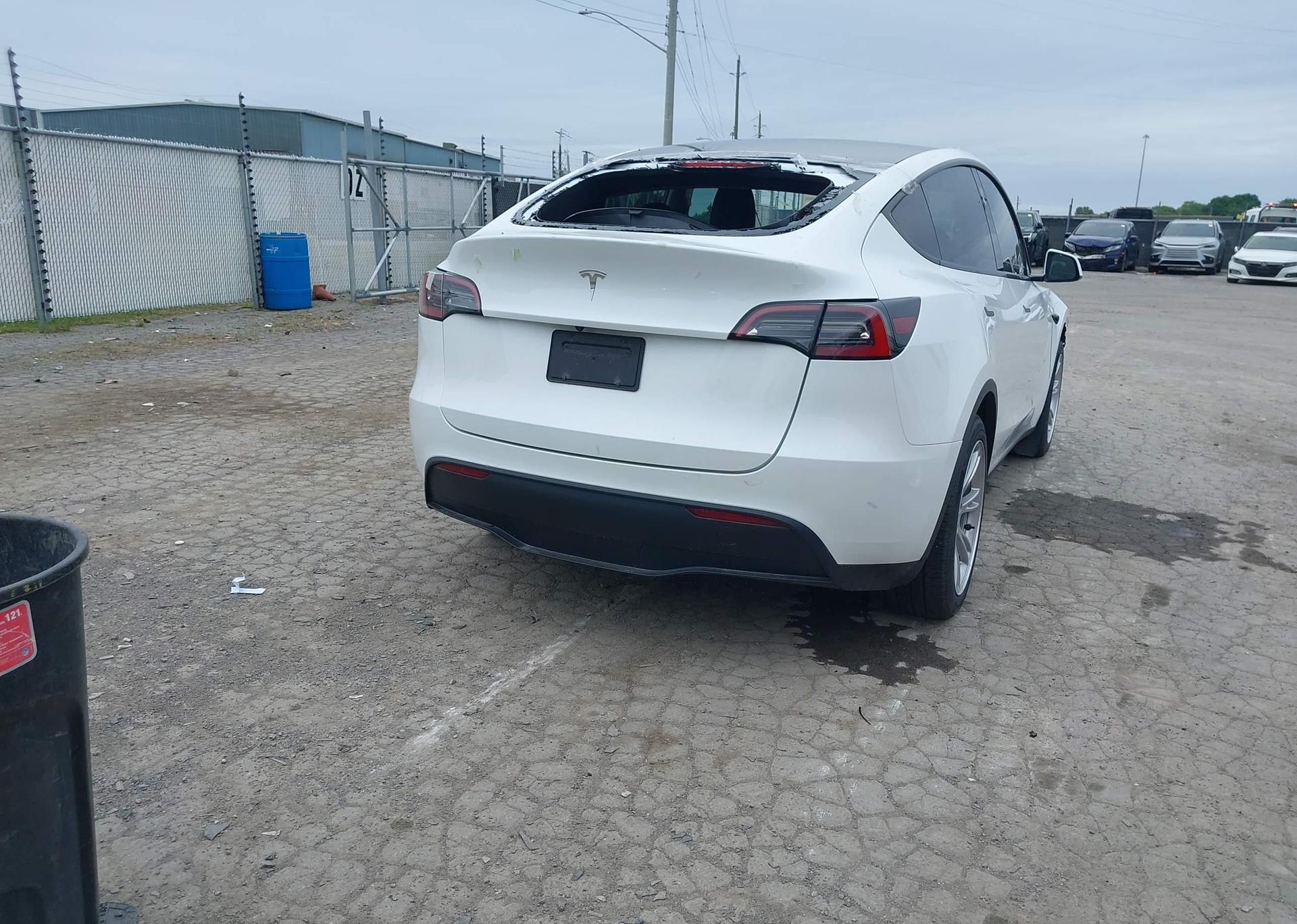 2023 TESLA MODEL Y RWD