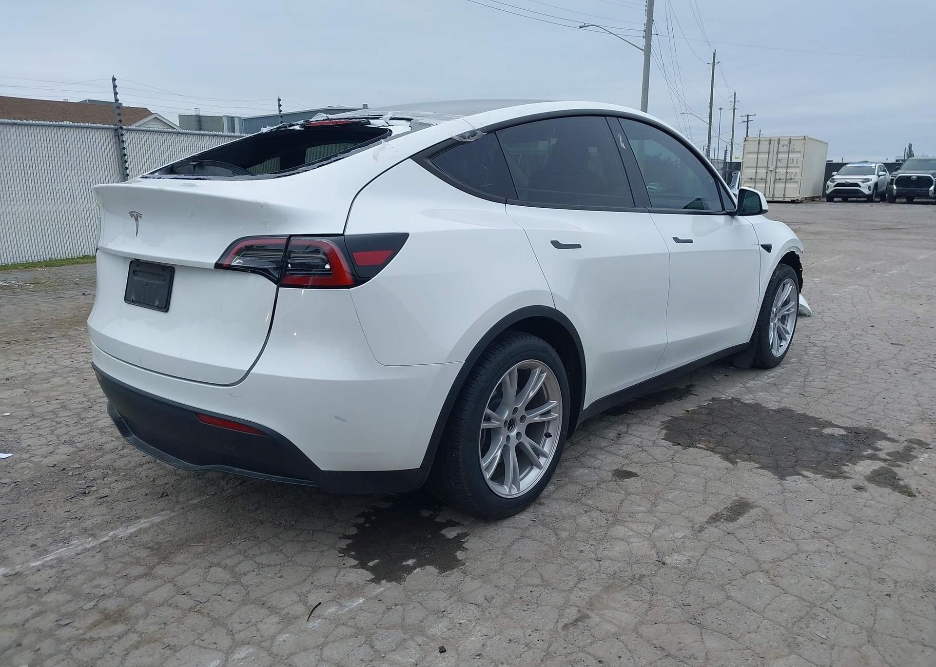 2023 TESLA MODEL Y RWD