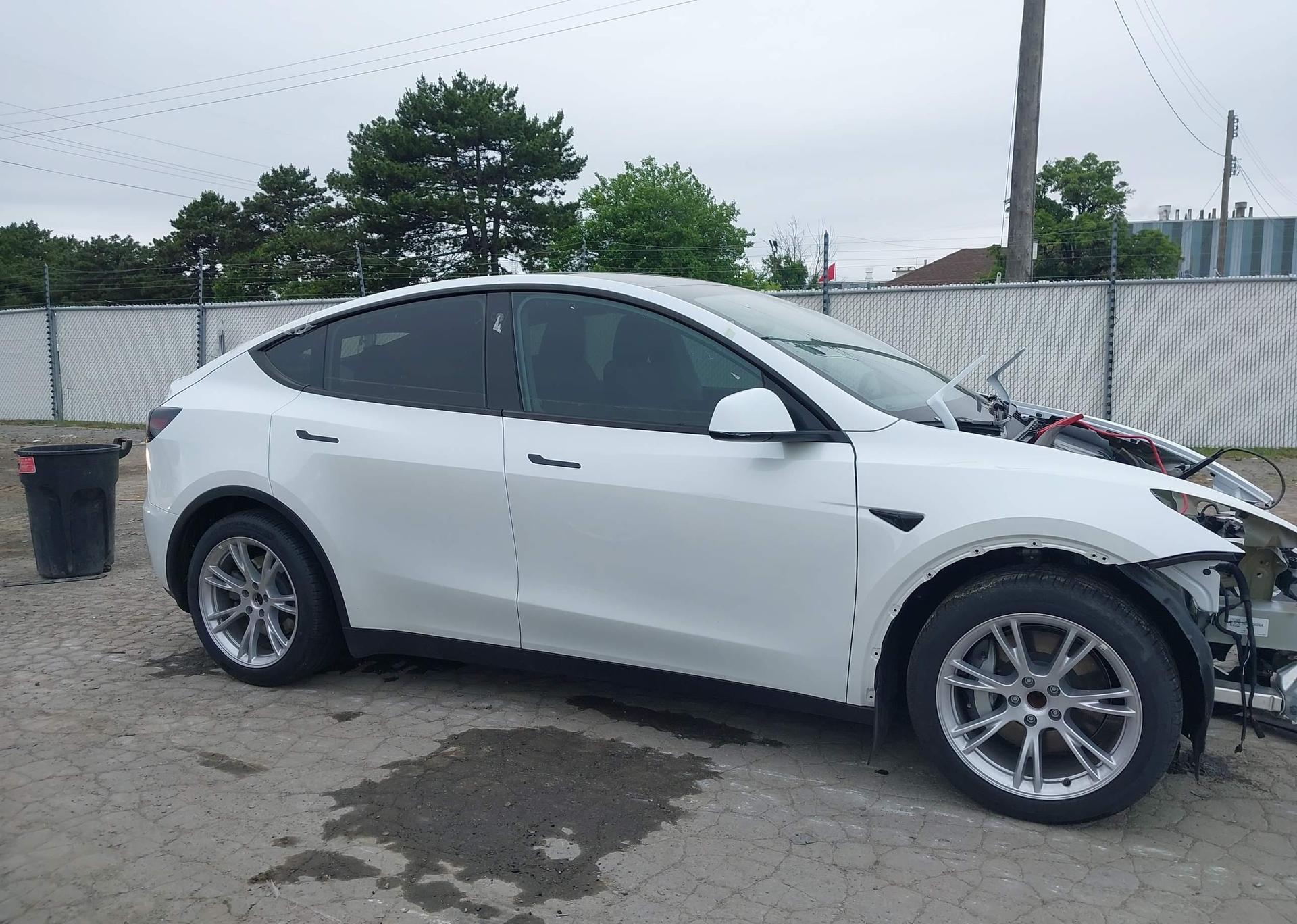 2023 TESLA MODEL Y RWD