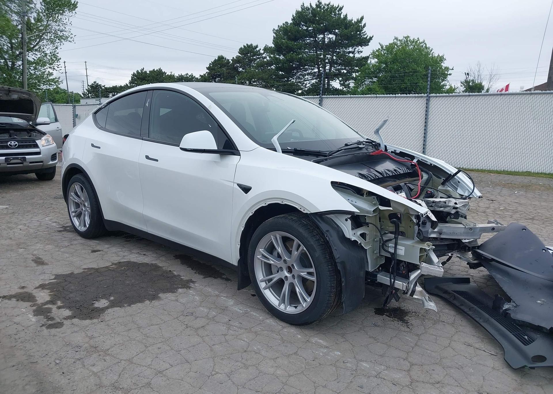 2023 TESLA MODEL Y RWD