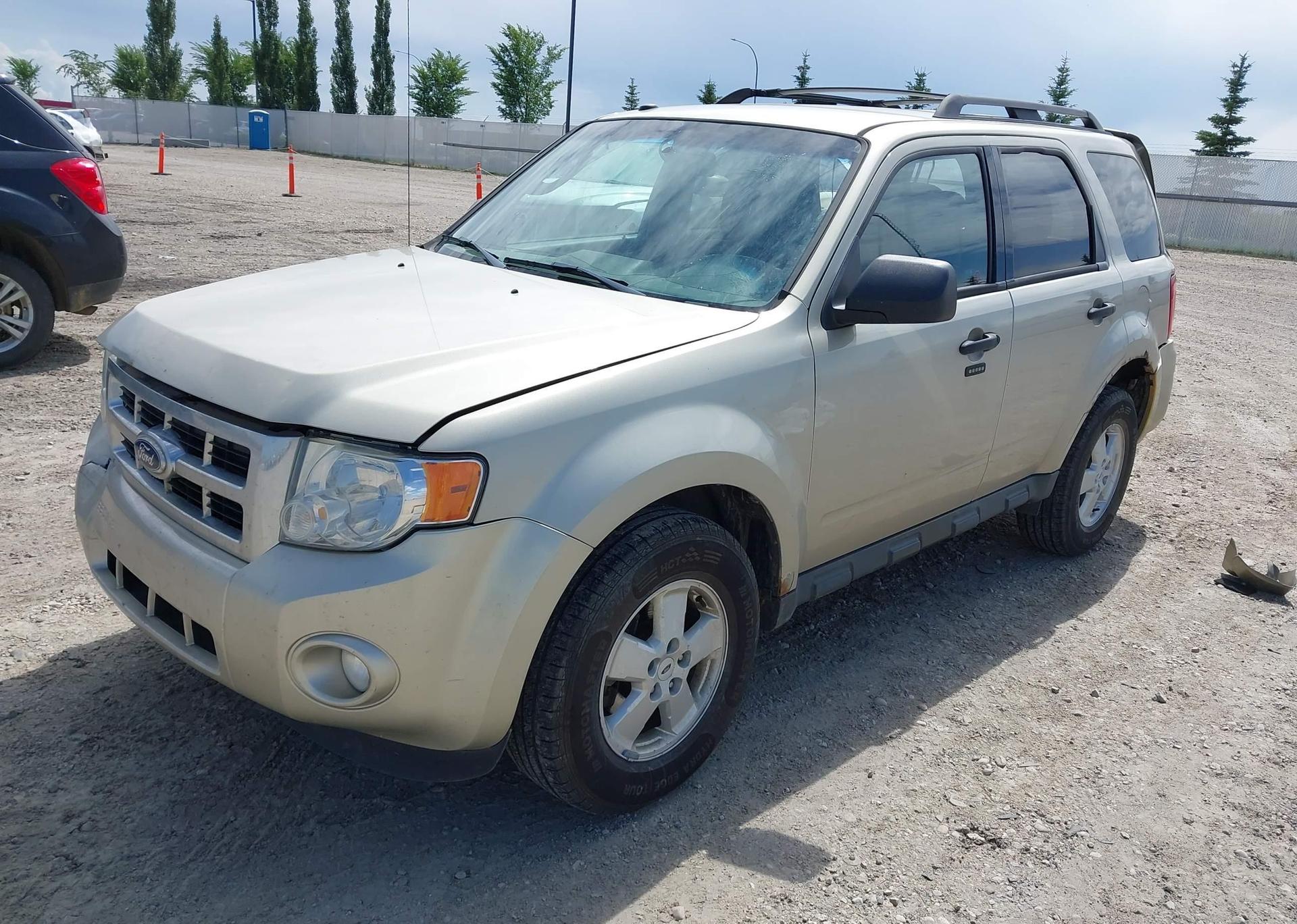 2010 FORD ESCAPE XLT