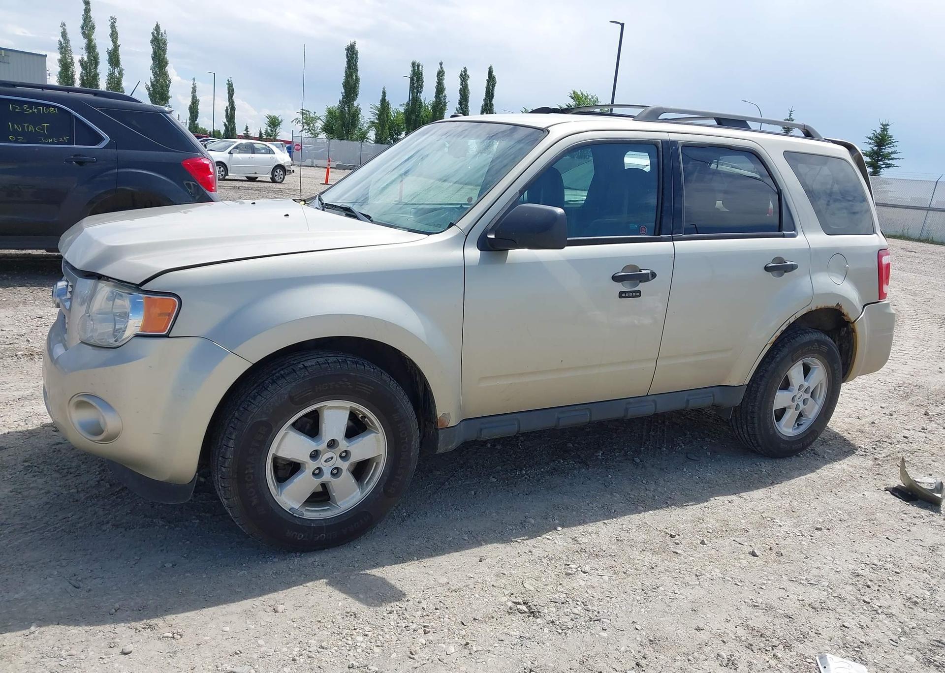 2010 FORD ESCAPE XLT