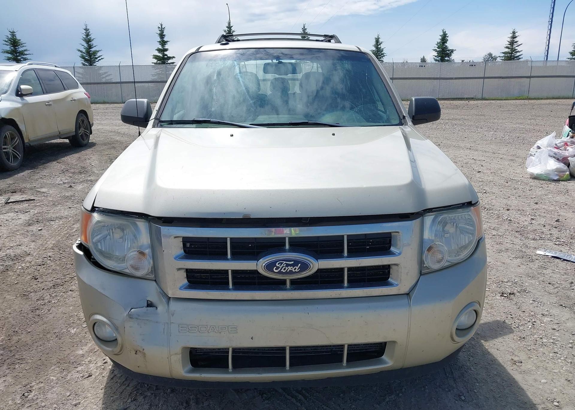 2010 FORD ESCAPE XLT