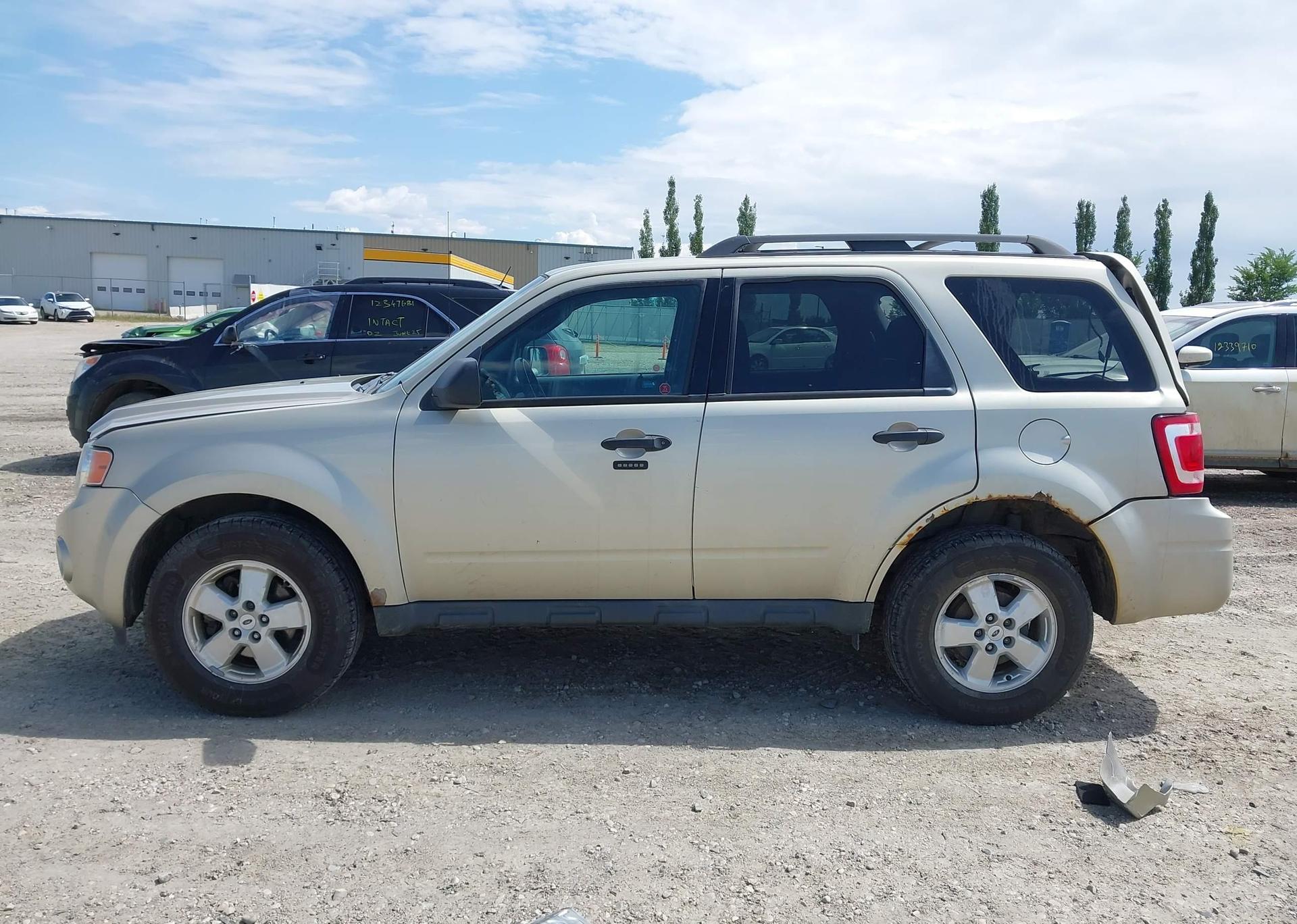 2010 FORD ESCAPE XLT