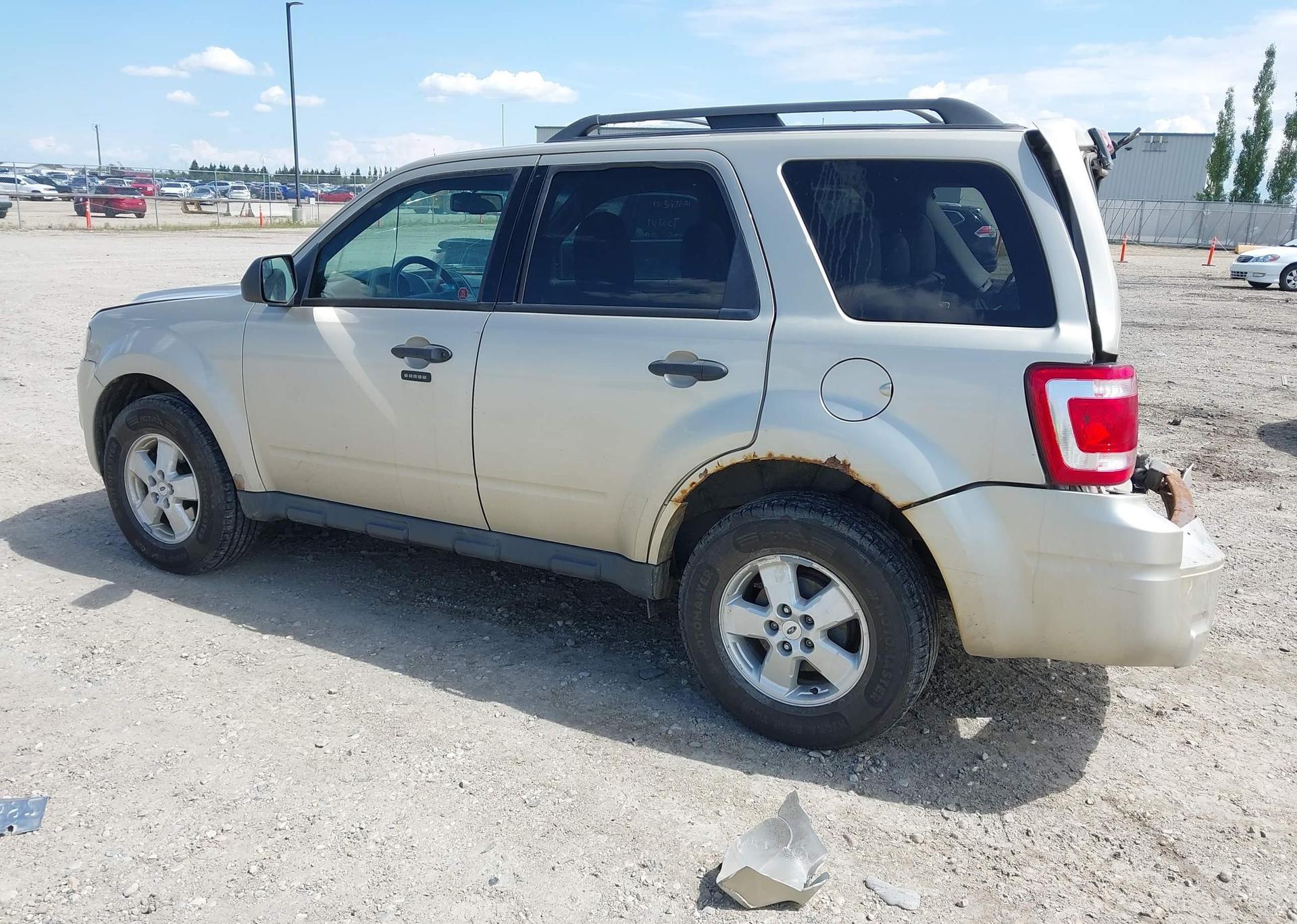2010 FORD ESCAPE XLT