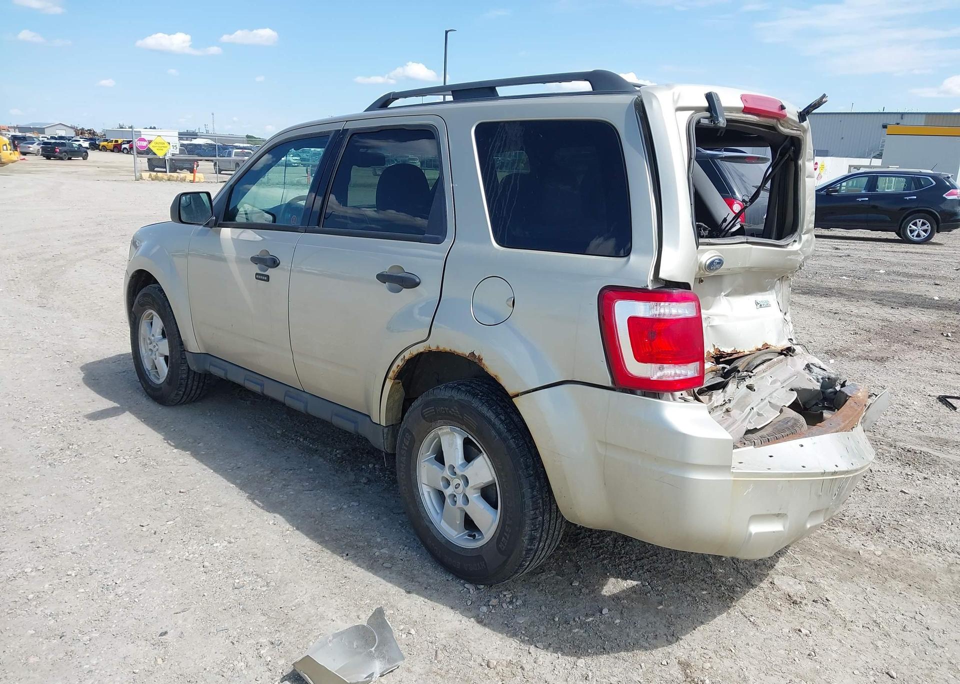 2010 FORD ESCAPE XLT