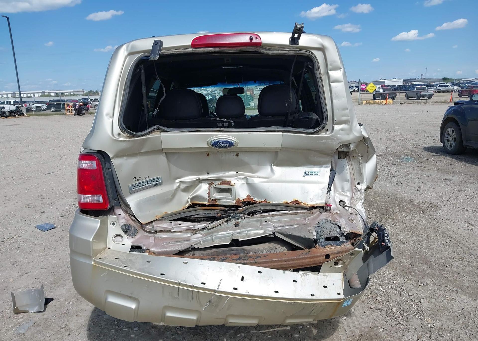2010 FORD ESCAPE XLT