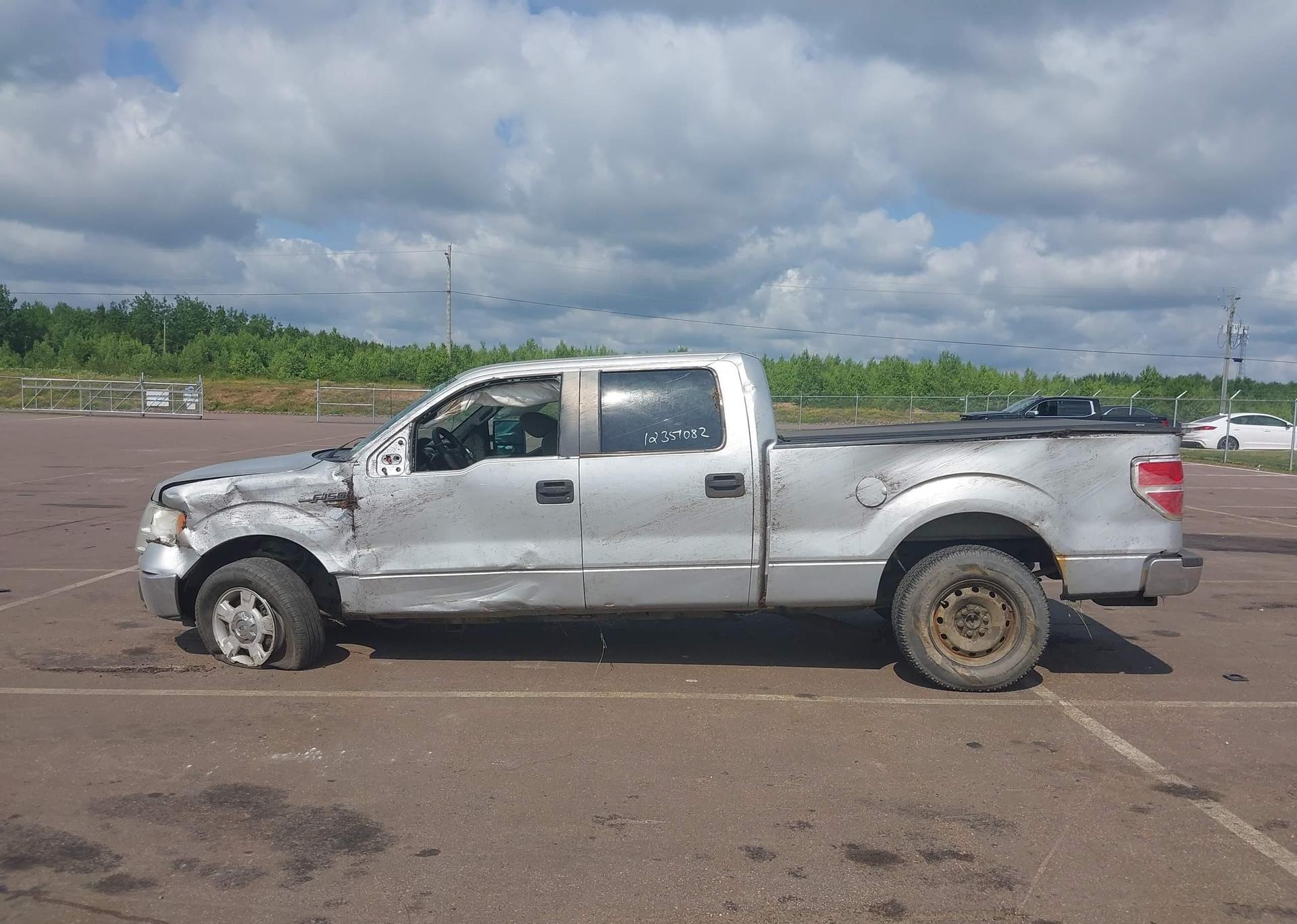 2010 FORD F-150 FX4