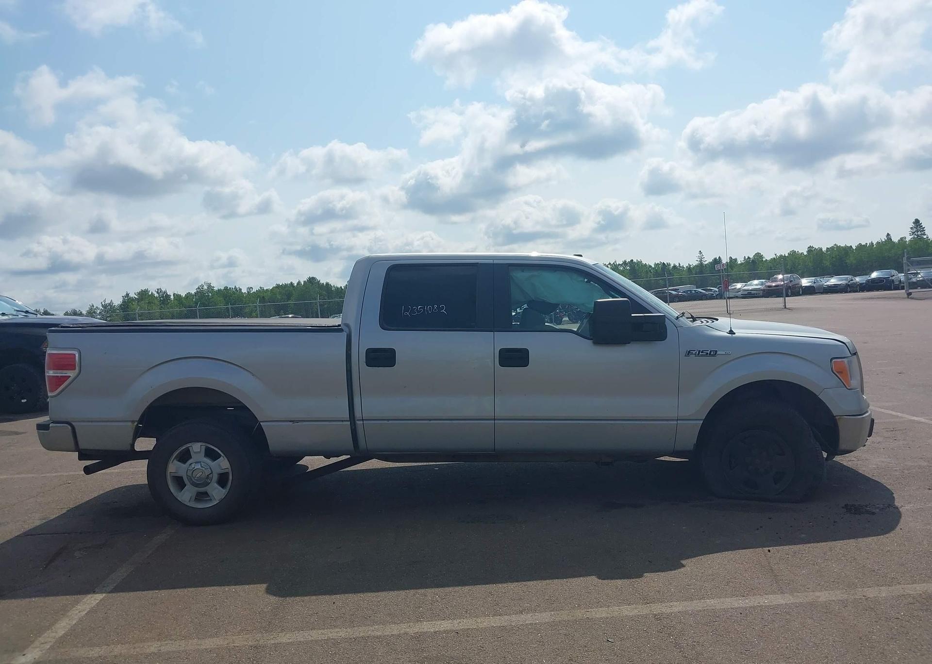 2010 FORD F-150 FX4