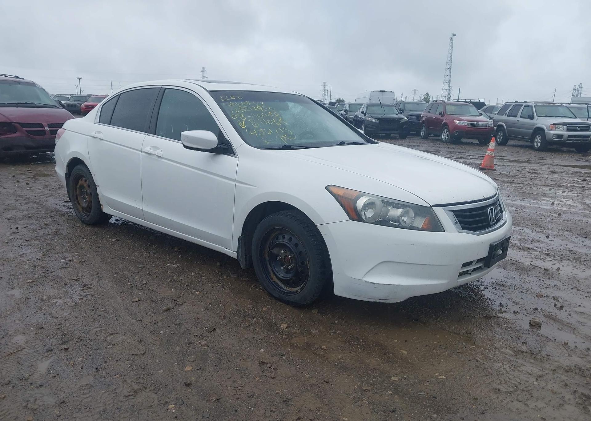 2008 HONDA ACCORD EX-L