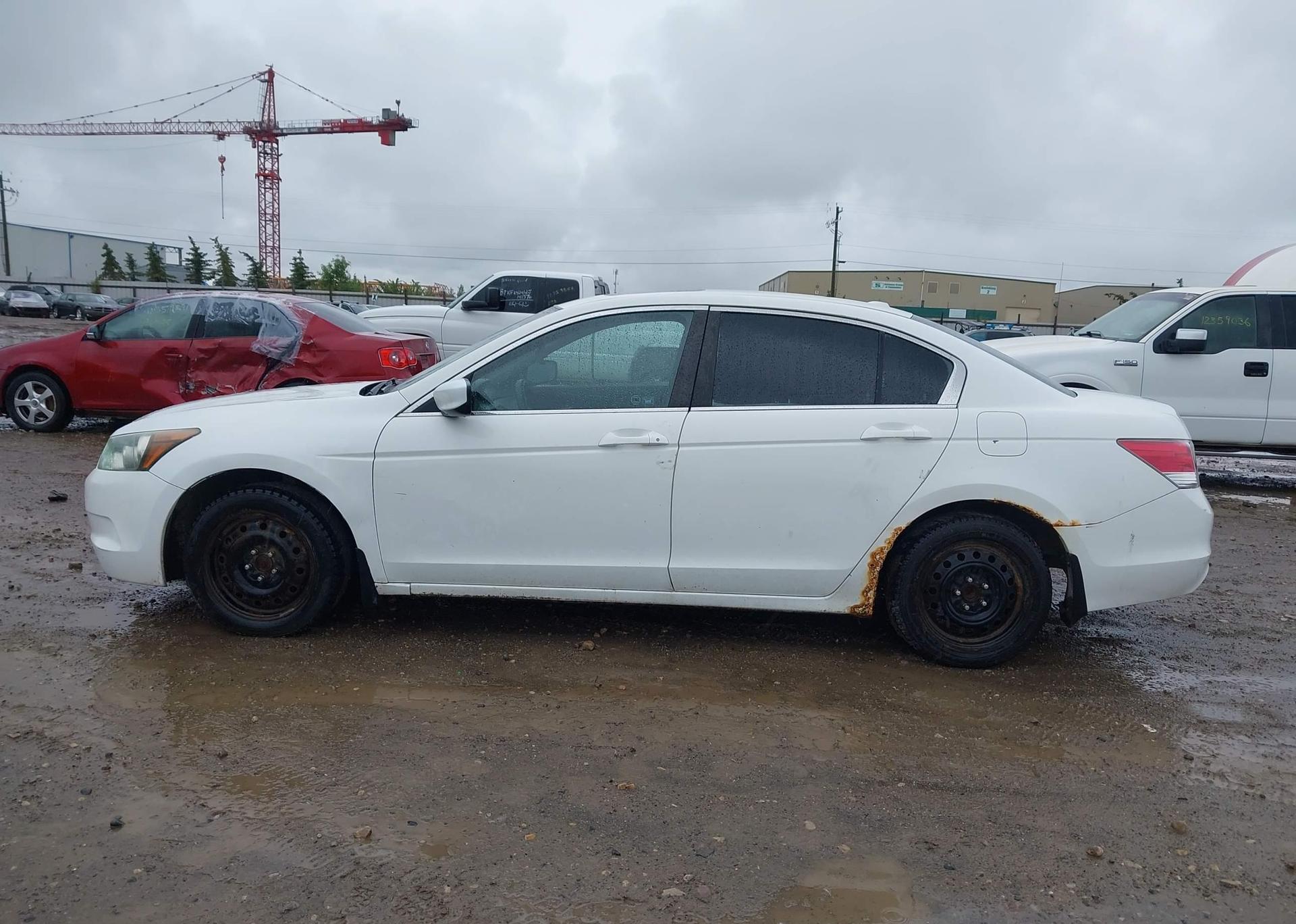2008 HONDA ACCORD EX-L