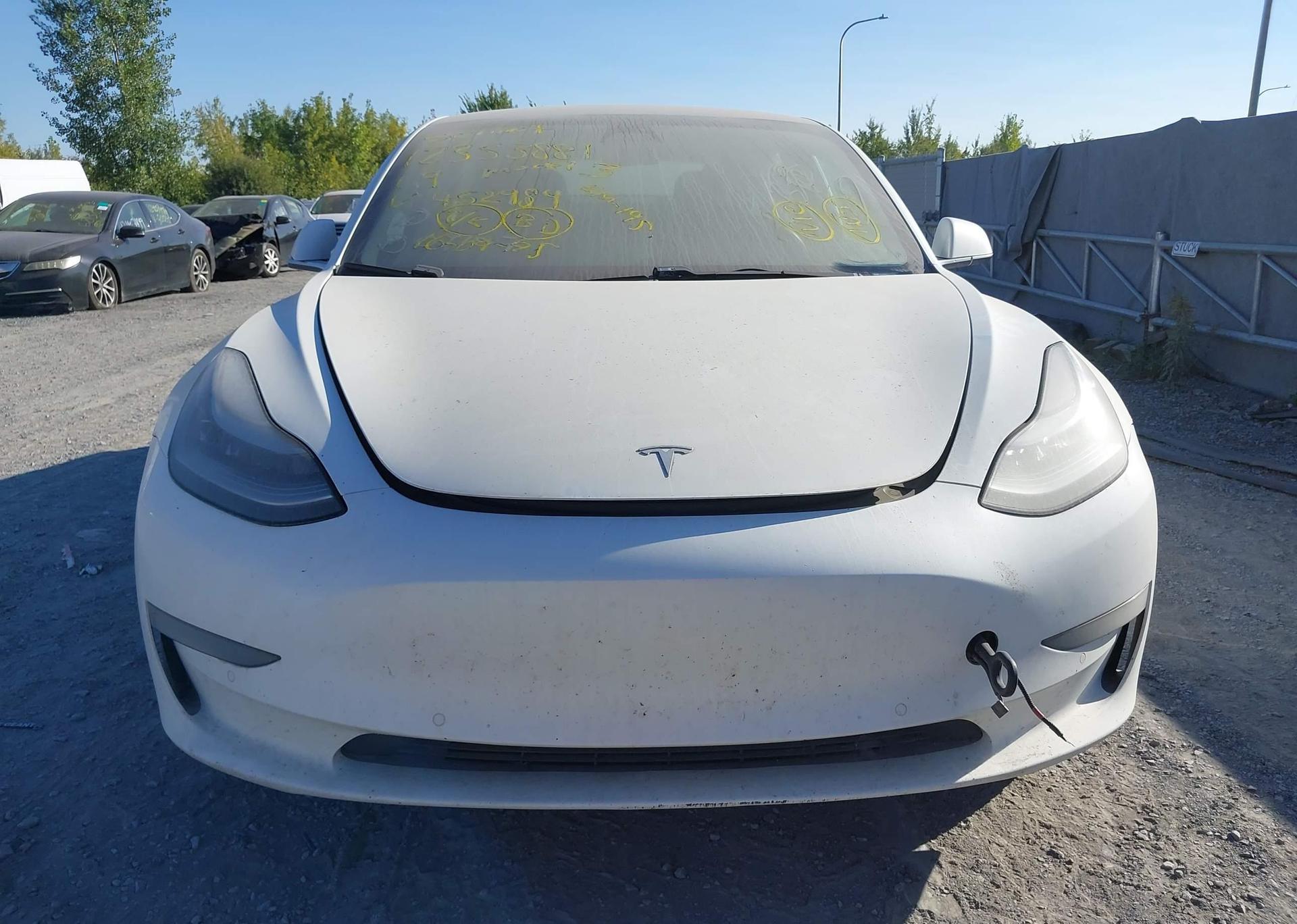 2019 TESLA MODEL 3 LONG RANGE